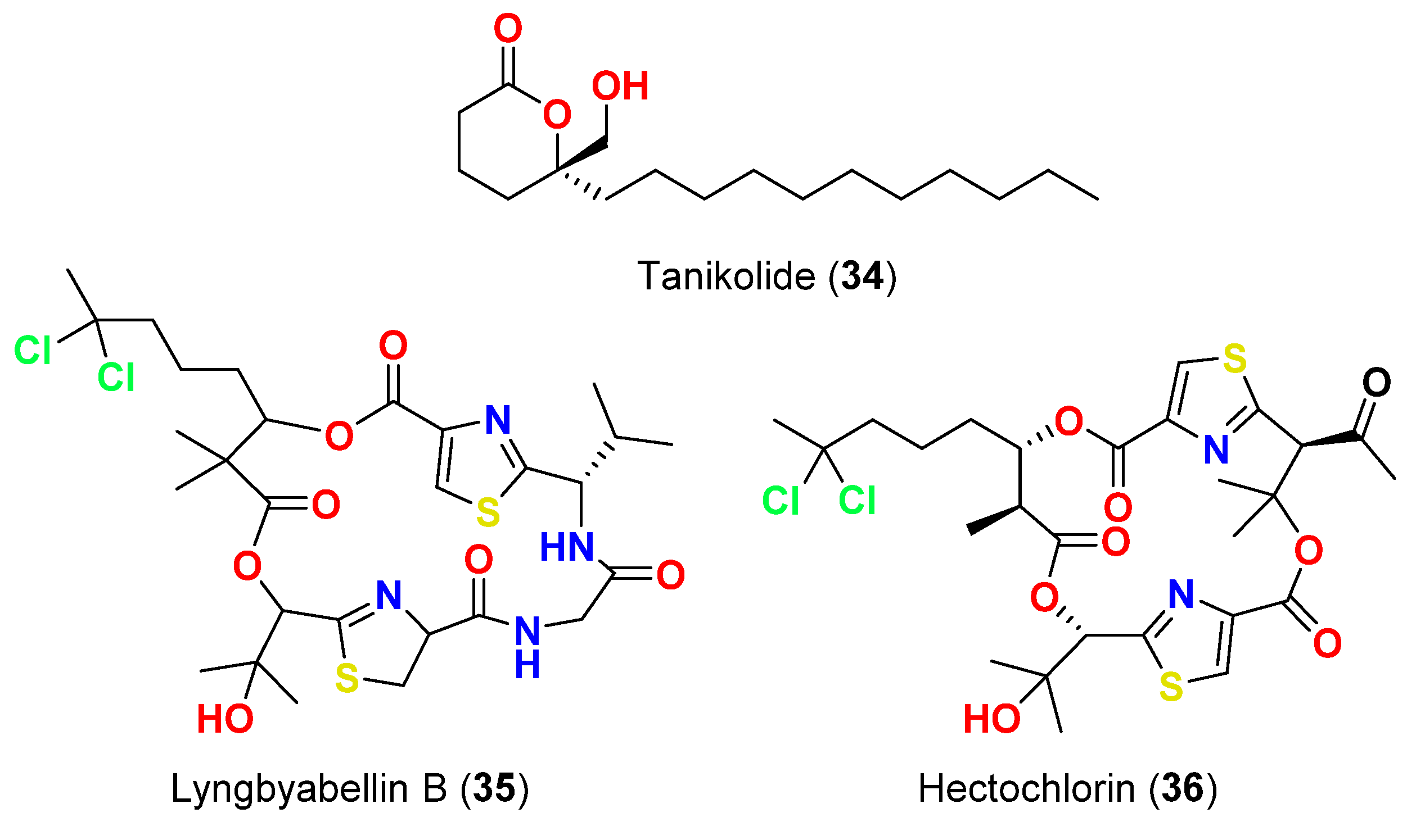 Marinedrugs 20 00768 g015 Marinedrugs 20 00768 g015