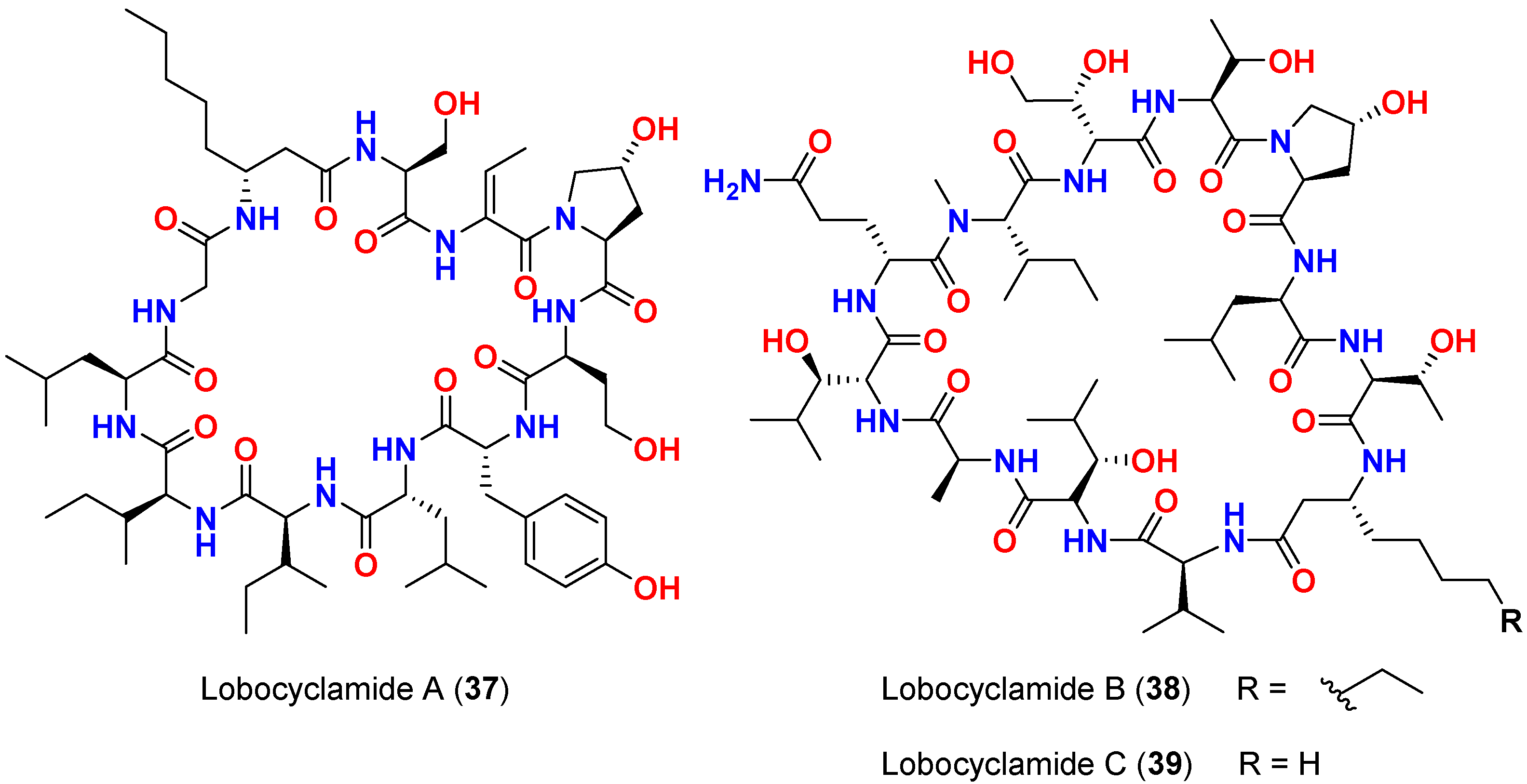 Marinedrugs 20 00768 g016 Marinedrugs 20 00768 g016