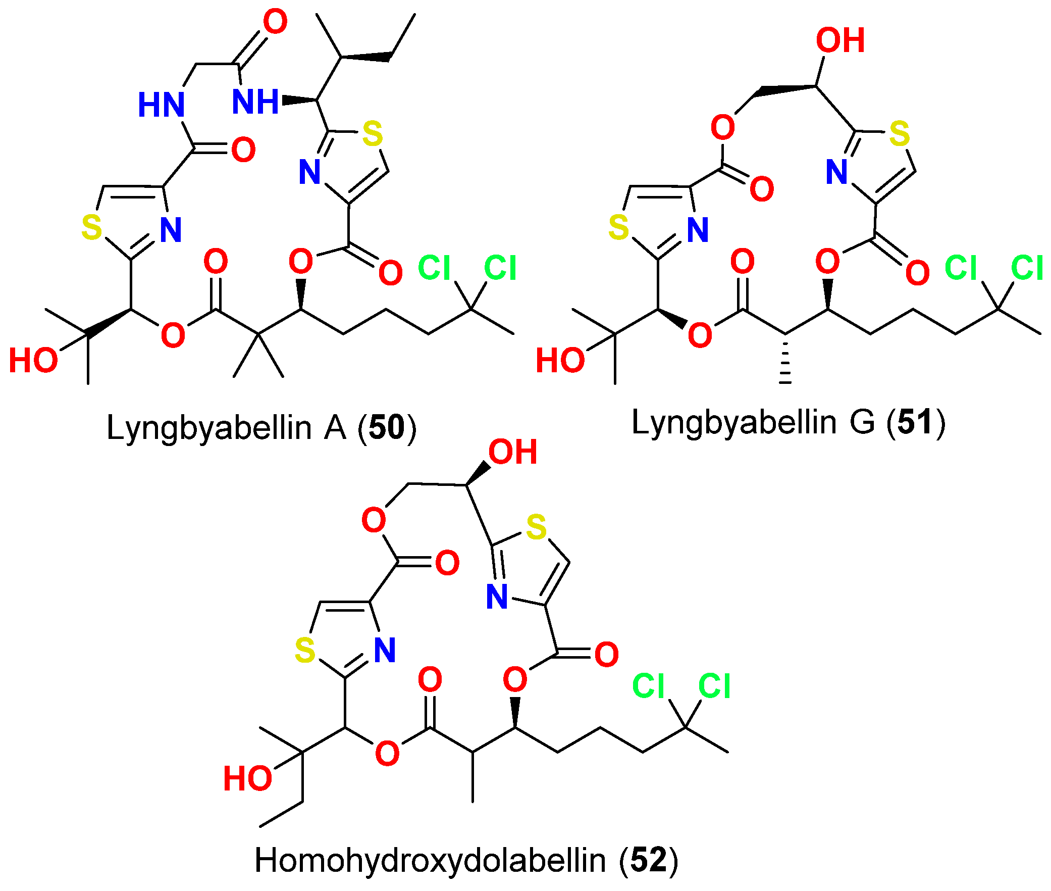 Marinedrugs 20 00768 g022 Marinedrugs 20 00768 g022