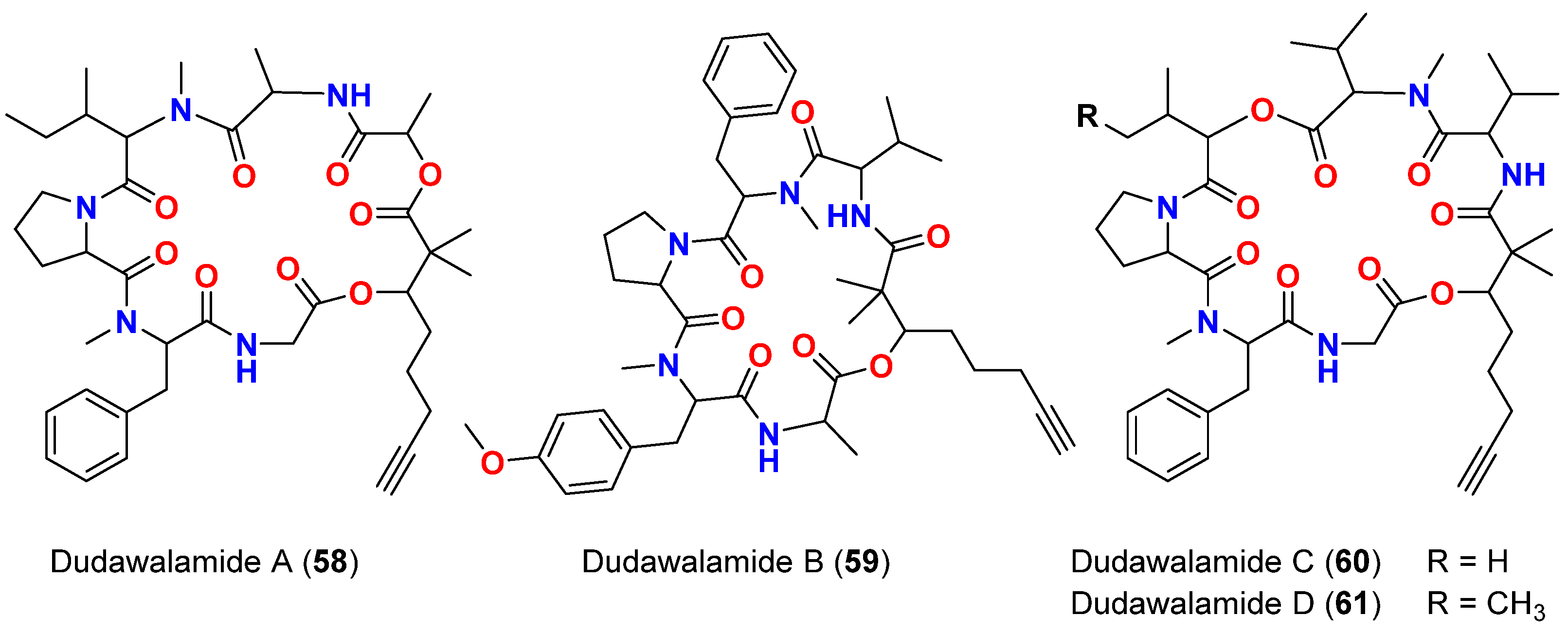 Marinedrugs 20 00768 g025 Marinedrugs 20 00768 g025