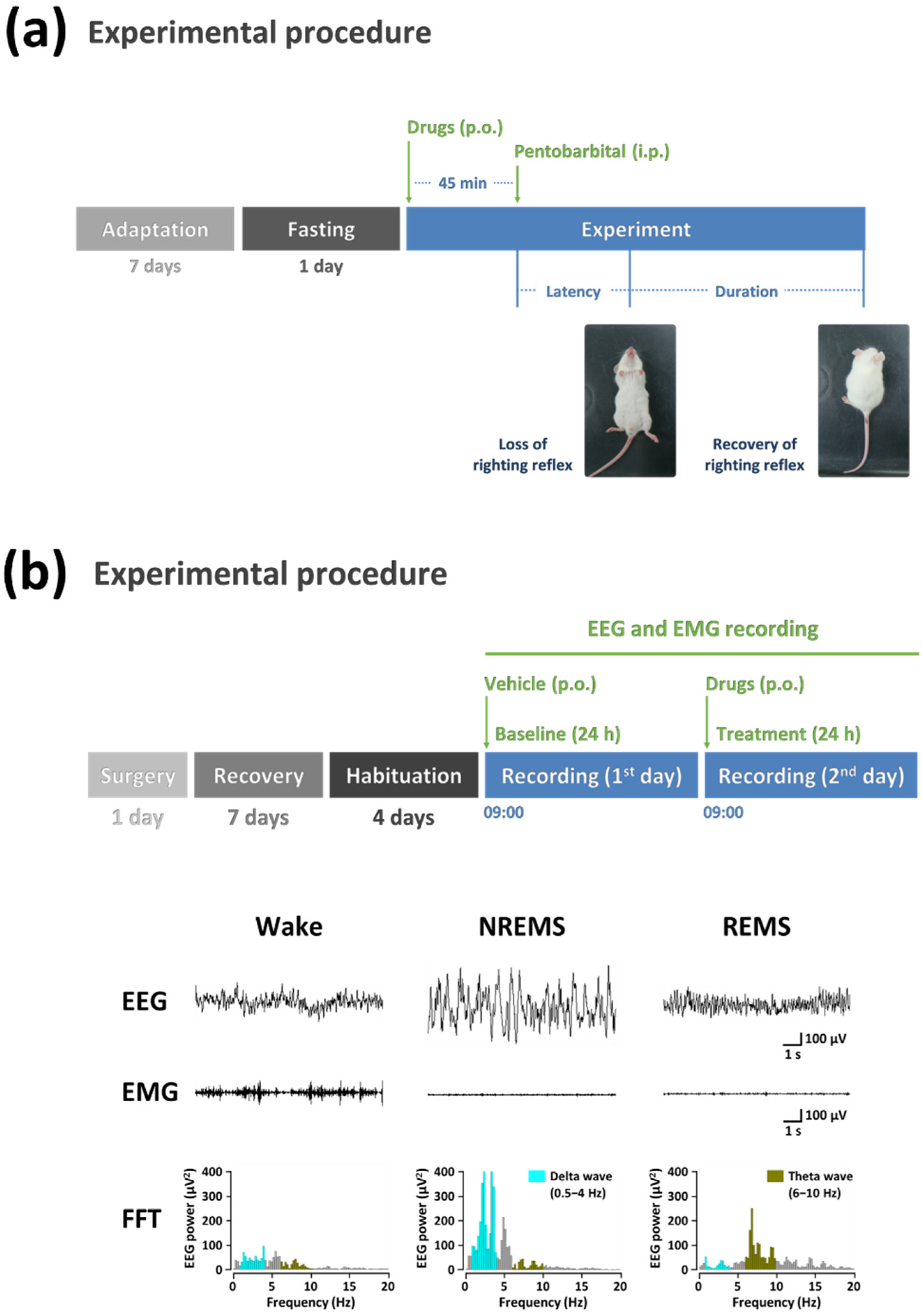 Marinedrugs 20 00774 g001
