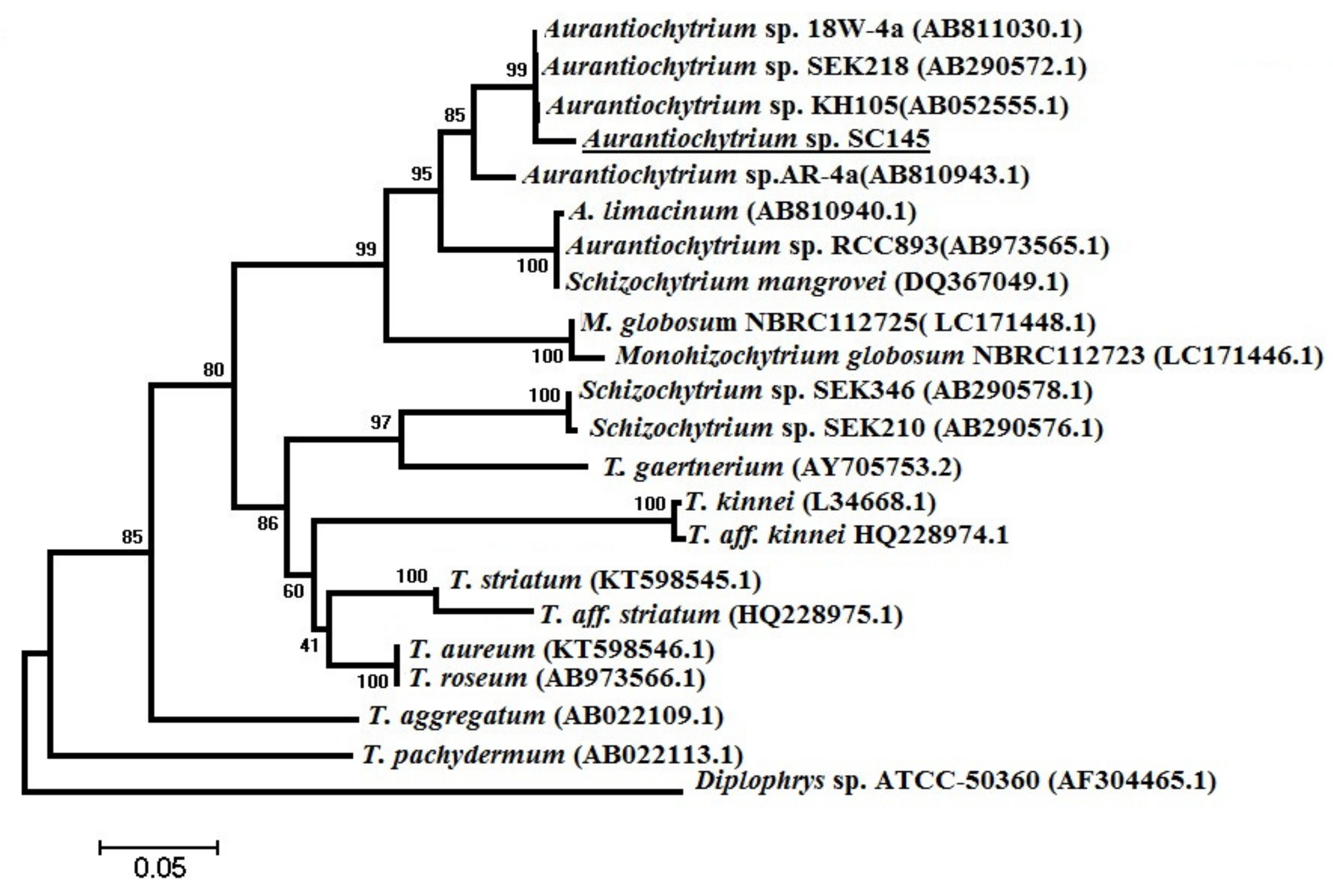 Marinedrugs 20 00780 g002 Marinedrugs 20 00780 g002