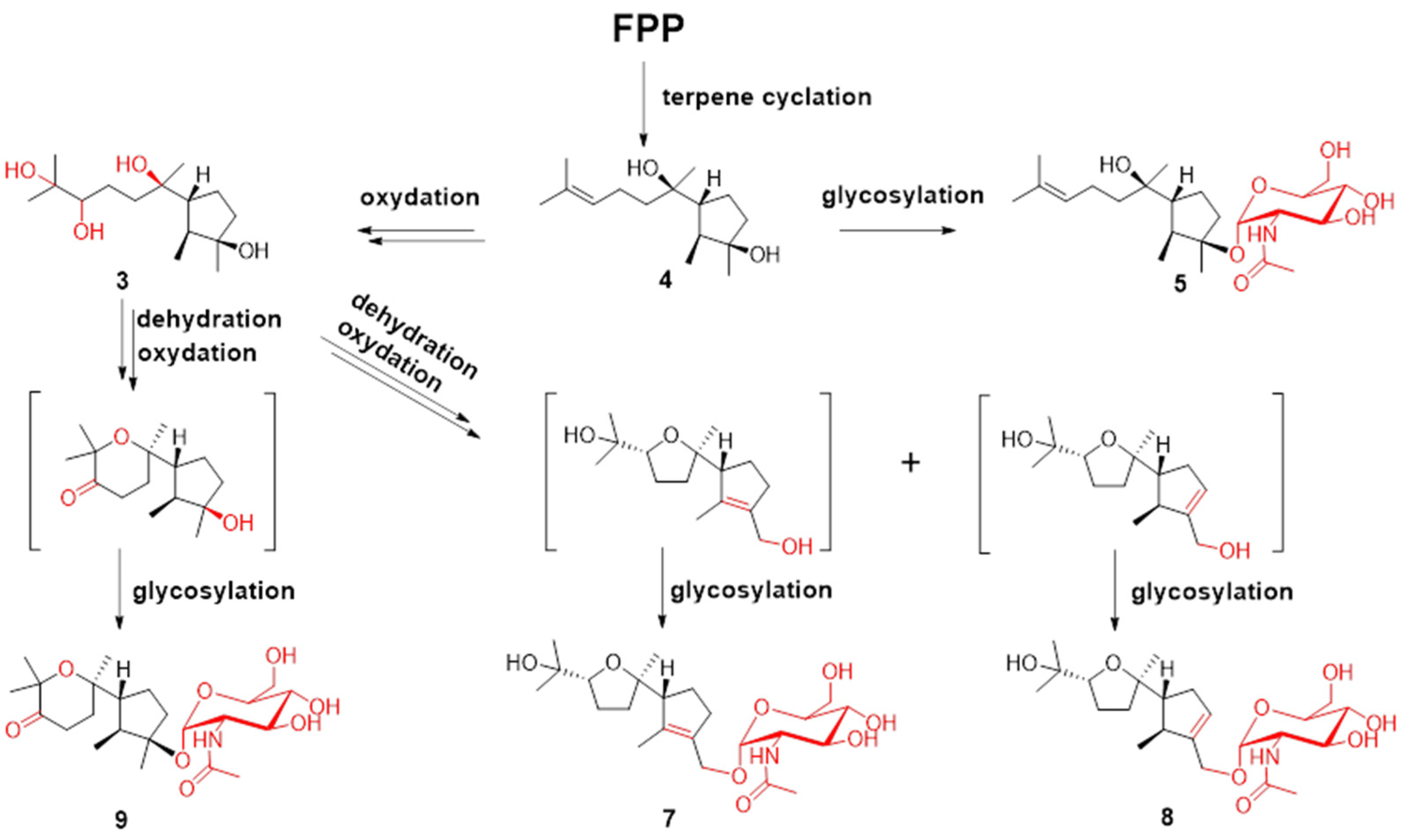 Marinedrugs 21 00007 g004
