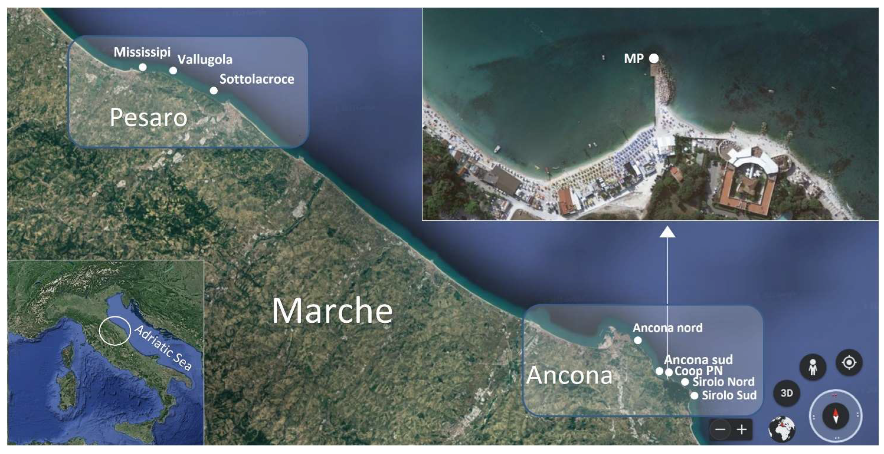 Marinedrugs 21 00008 g008