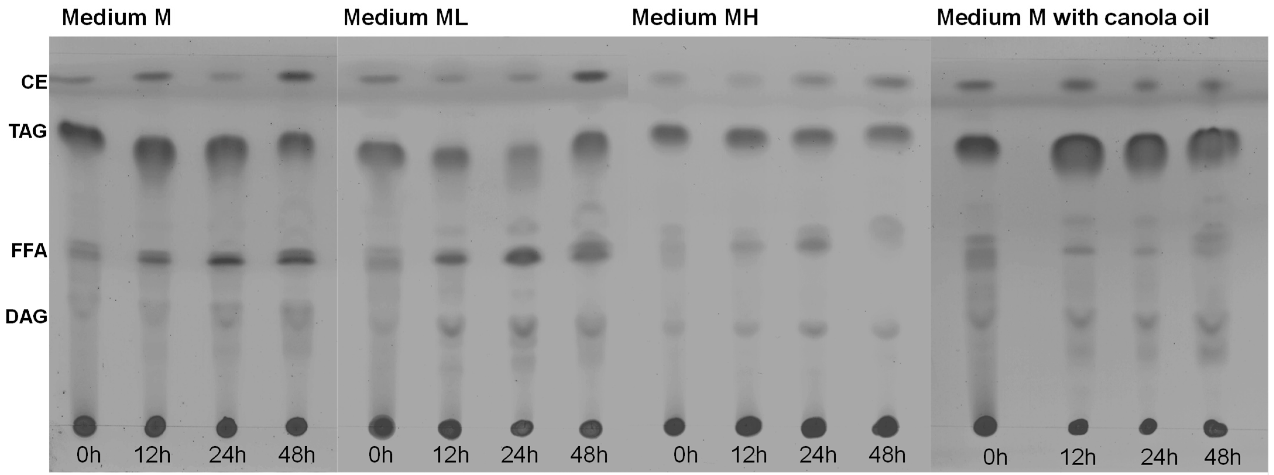 Marinedrugs 21 00015 g005