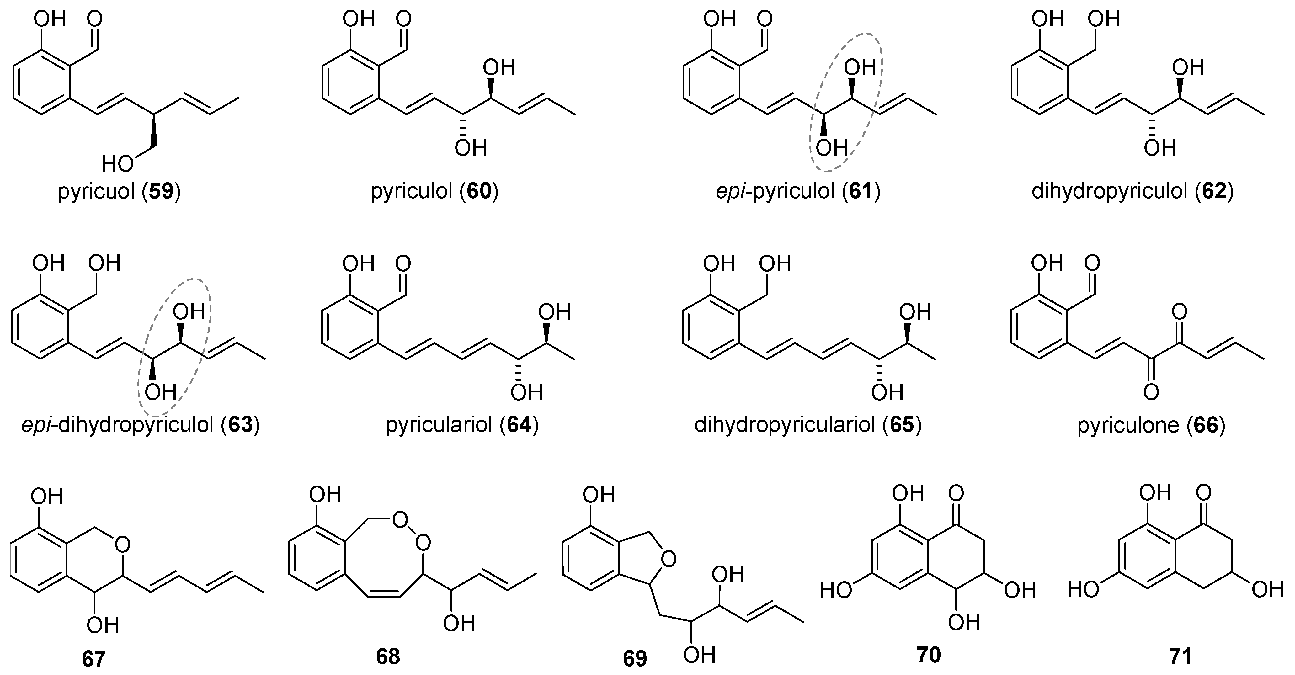 Marinedrugs 21 00019 g004 Marinedrugs 21 00019 g004