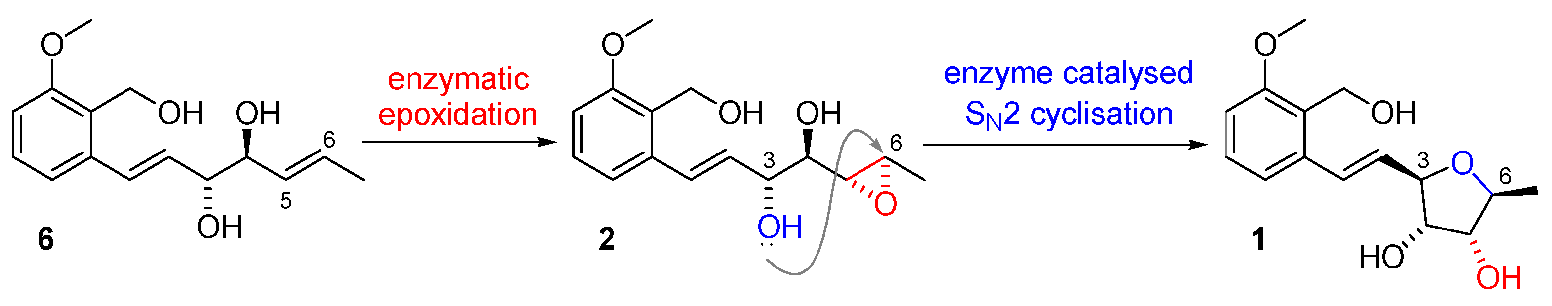 Marinedrugs 21 00019 sch001 Marinedrugs 21 00019 sch001