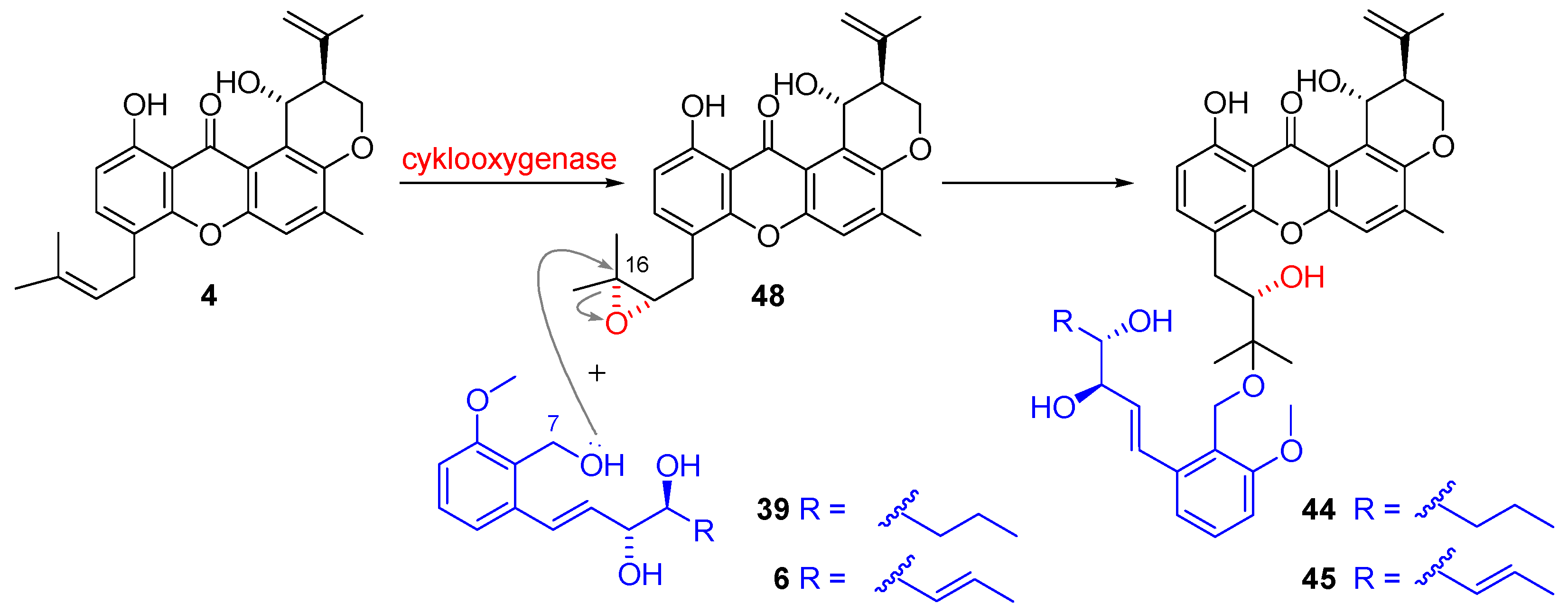 Marinedrugs 21 00019 sch008 Marinedrugs 21 00019 sch008