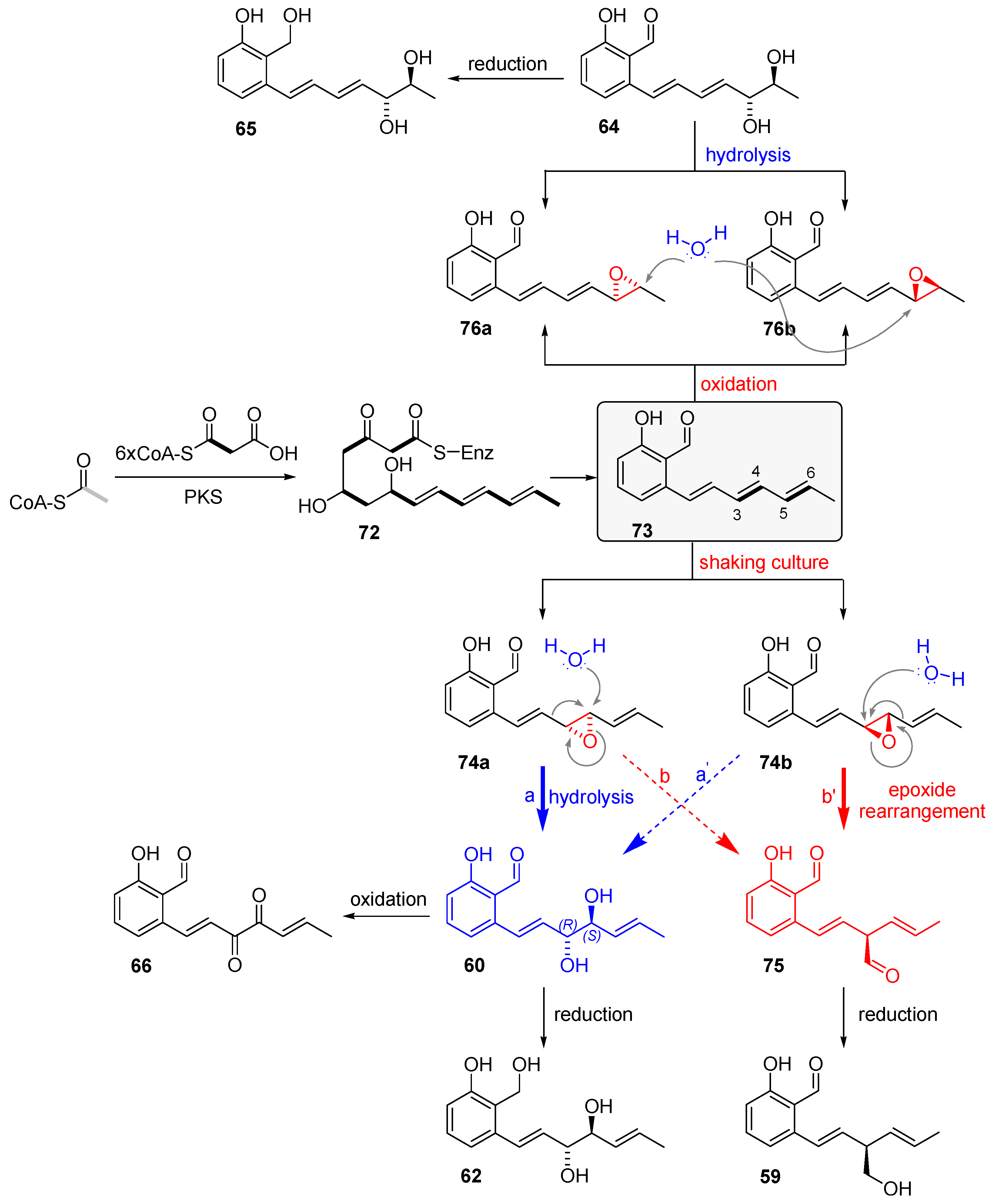 Marinedrugs 21 00019 sch010 Marinedrugs 21 00019 sch010