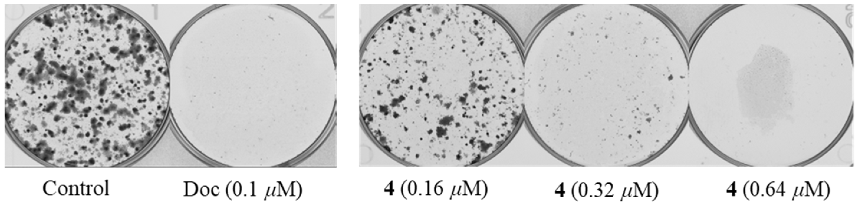 Marinedrugs 21 00032 g004 Marinedrugs 21 00032 g004