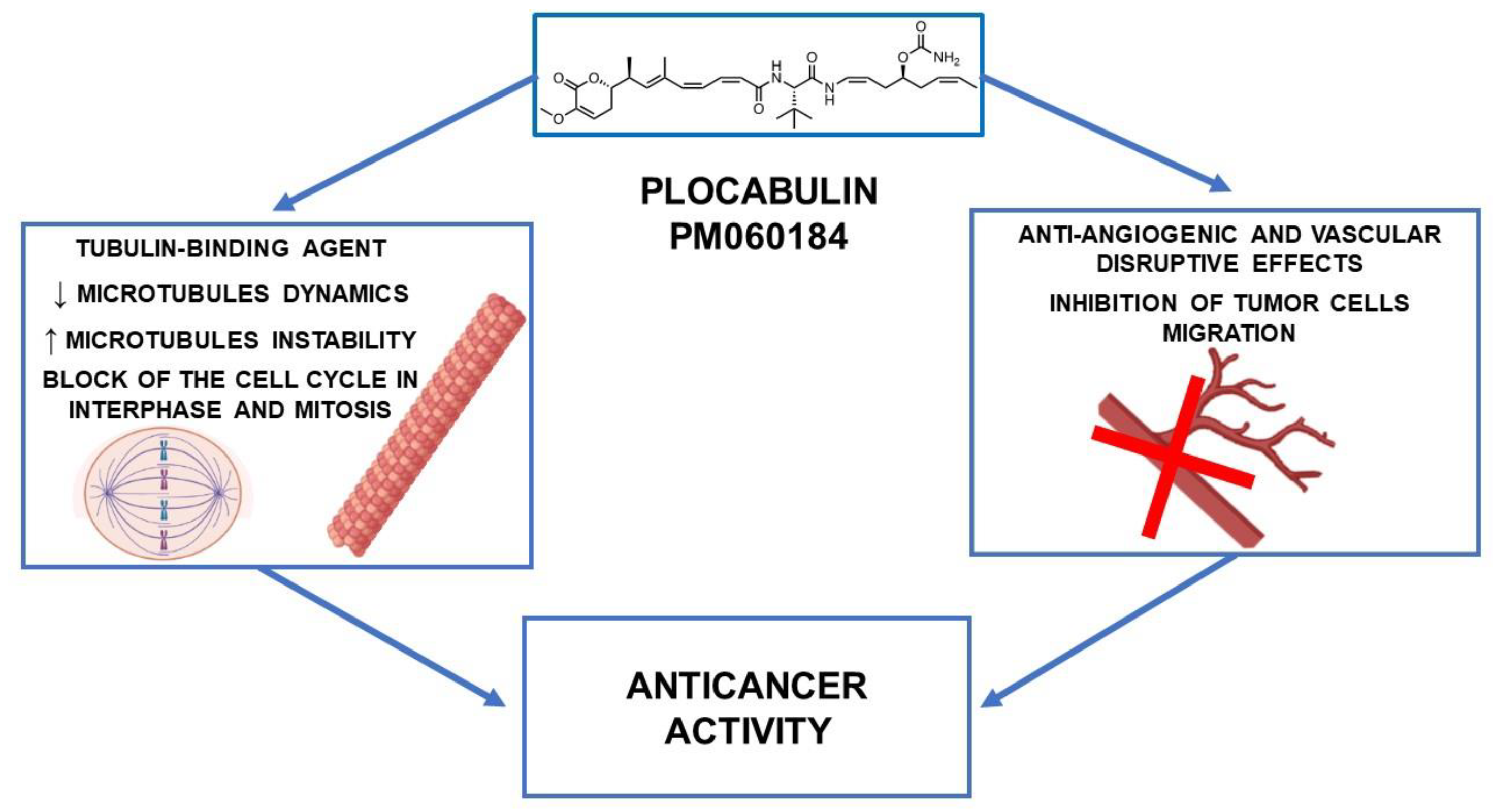 Marinedrugs 21 00038 g002 Marinedrugs 21 00038 g002