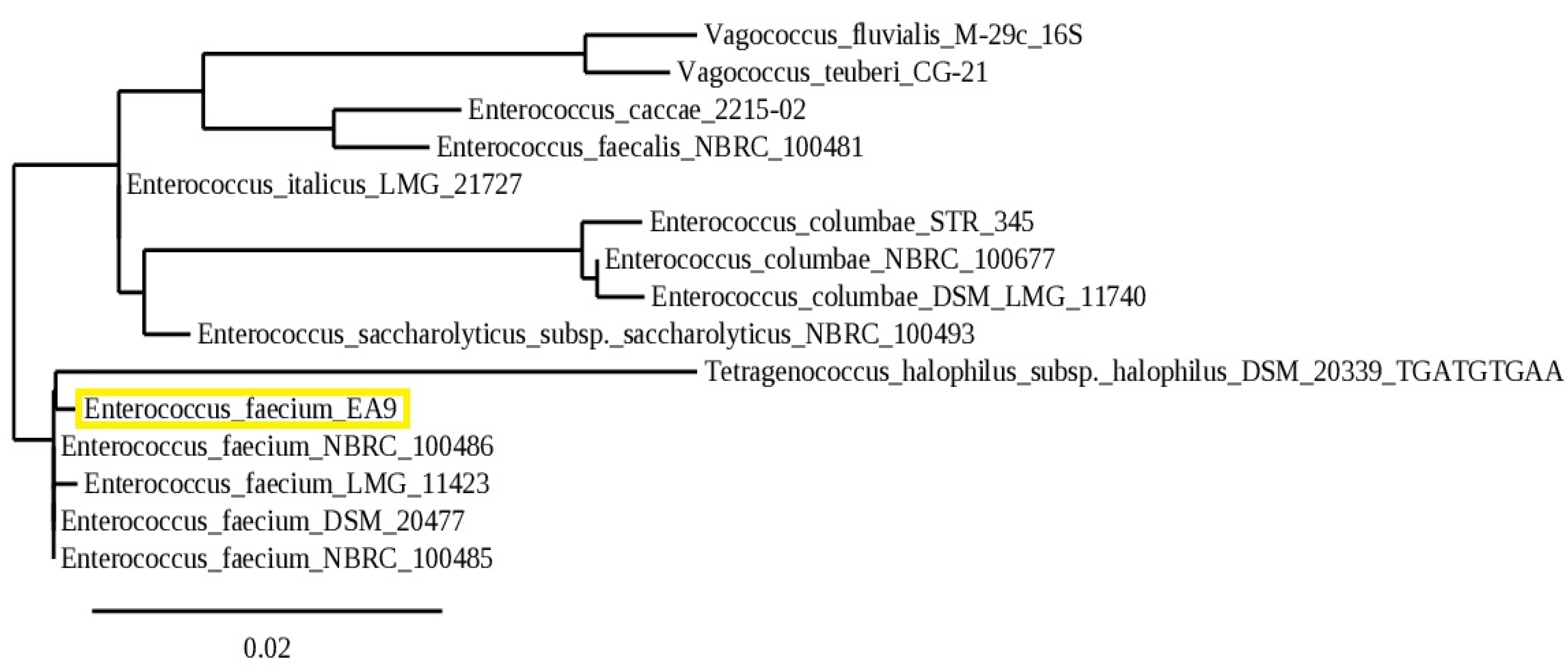 Marinedrugs 21 00045 g002