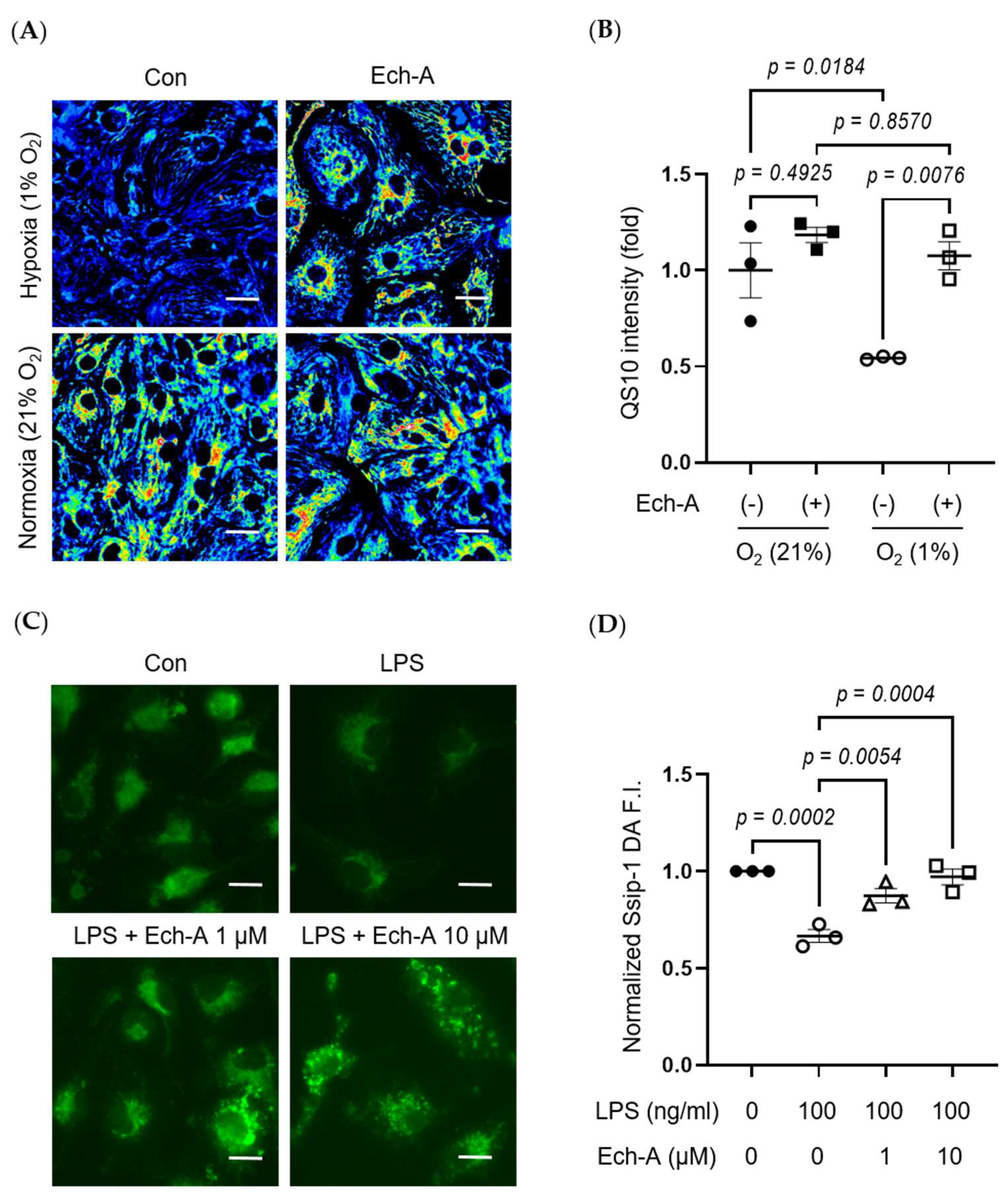 Marinedrugs 21 00052 g005 Marinedrugs 21 00052 g005