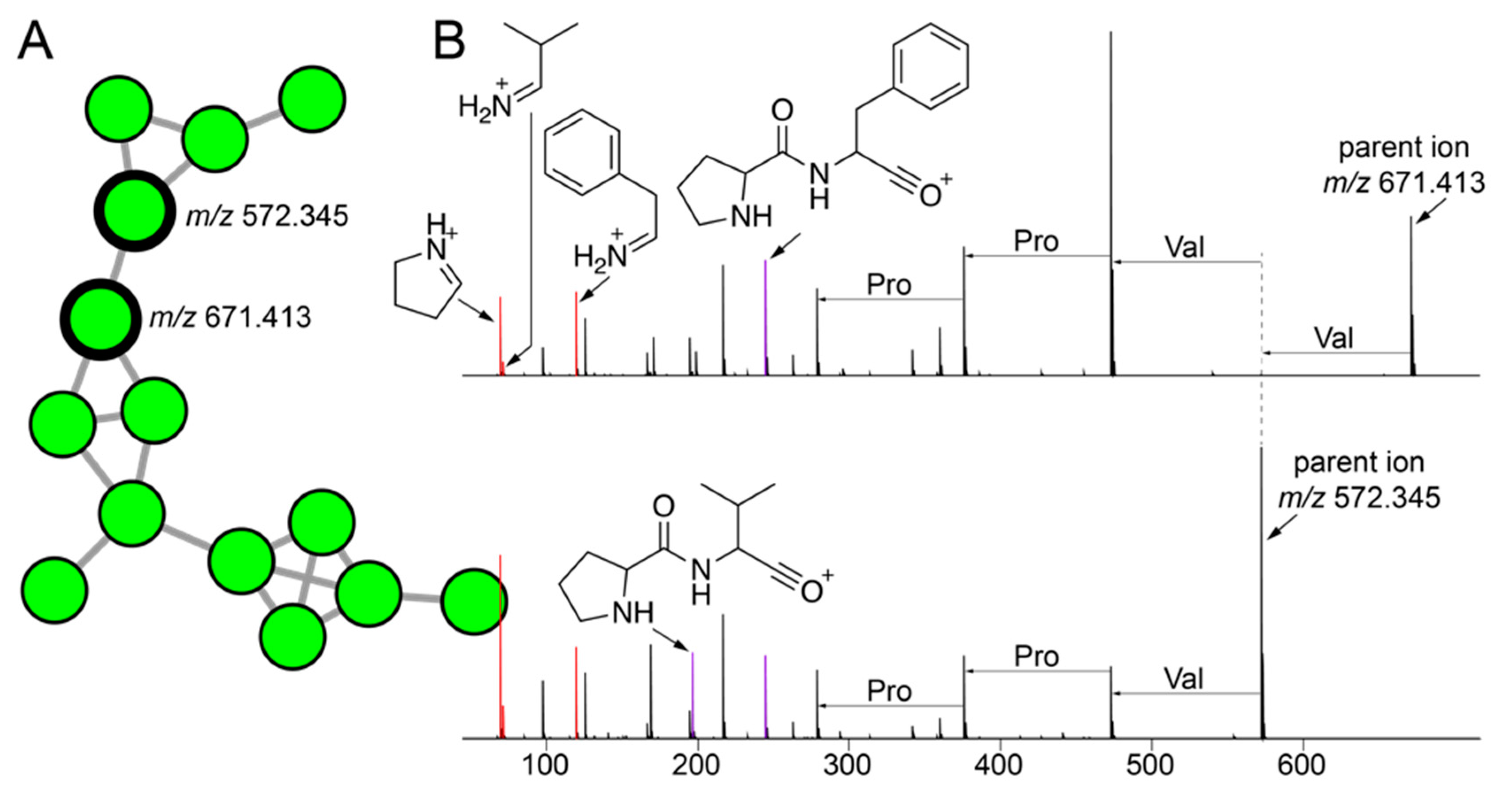 Marinedrugs 21 00053 g005 Marinedrugs 21 00053 g005
