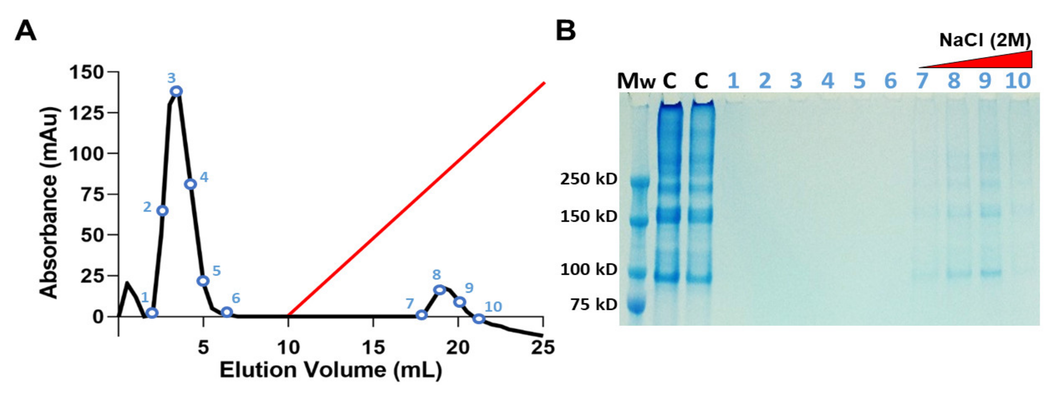 Marinedrugs 21 00059 g003 Marinedrugs 21 00059 g003
