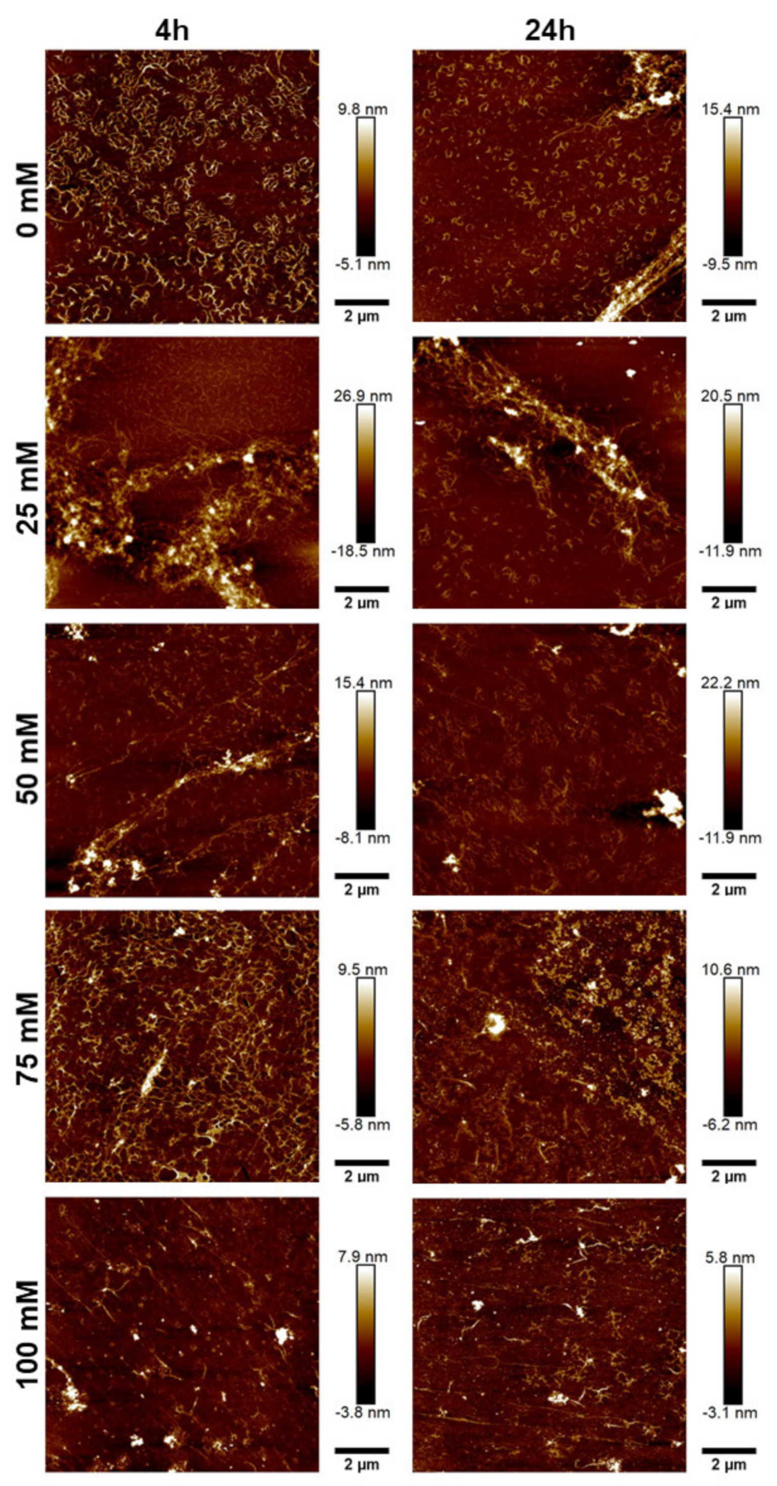 Marinedrugs 21 00059 g006 Marinedrugs 21 00059 g006