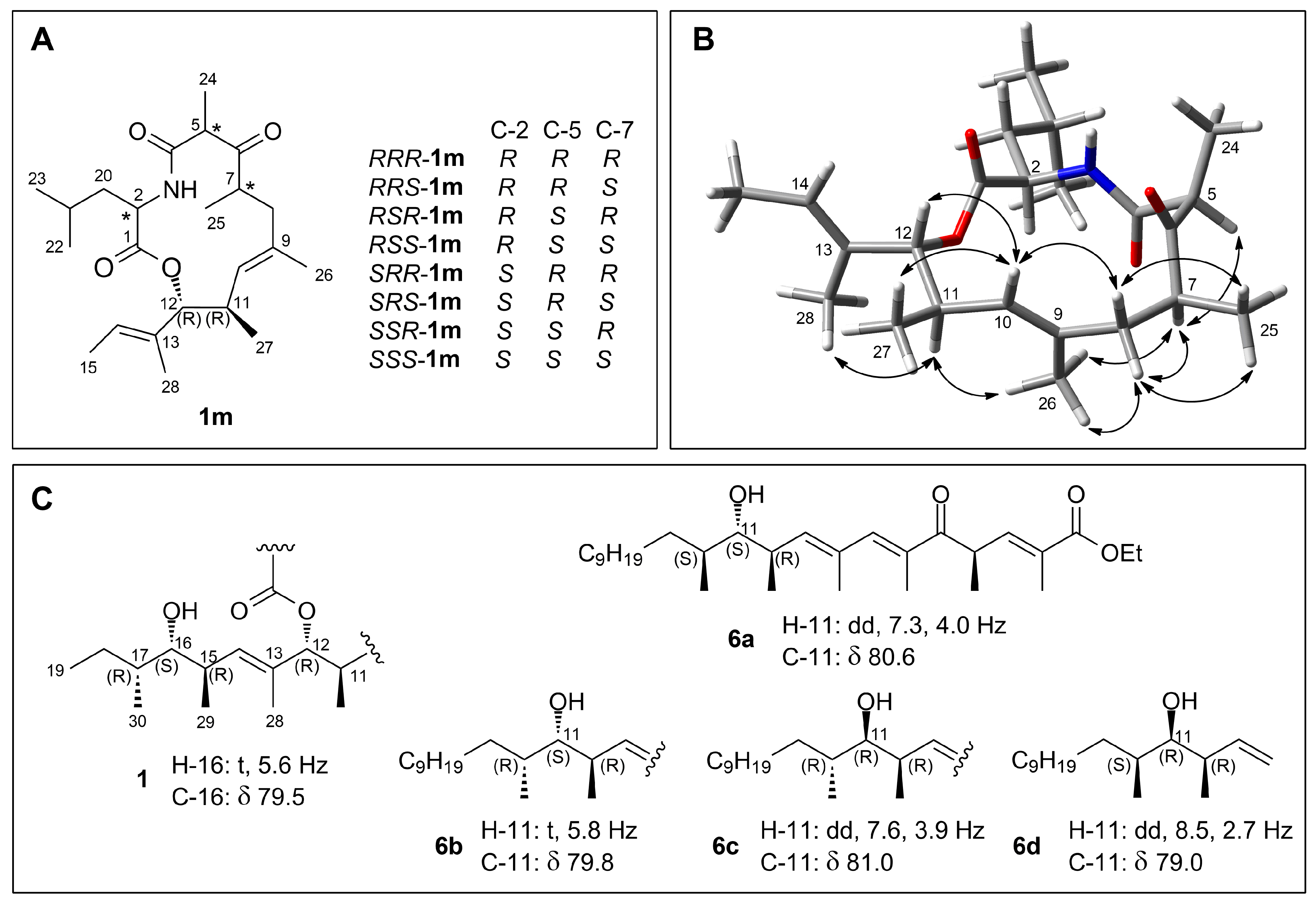 Marinedrugs 21 00095 g005