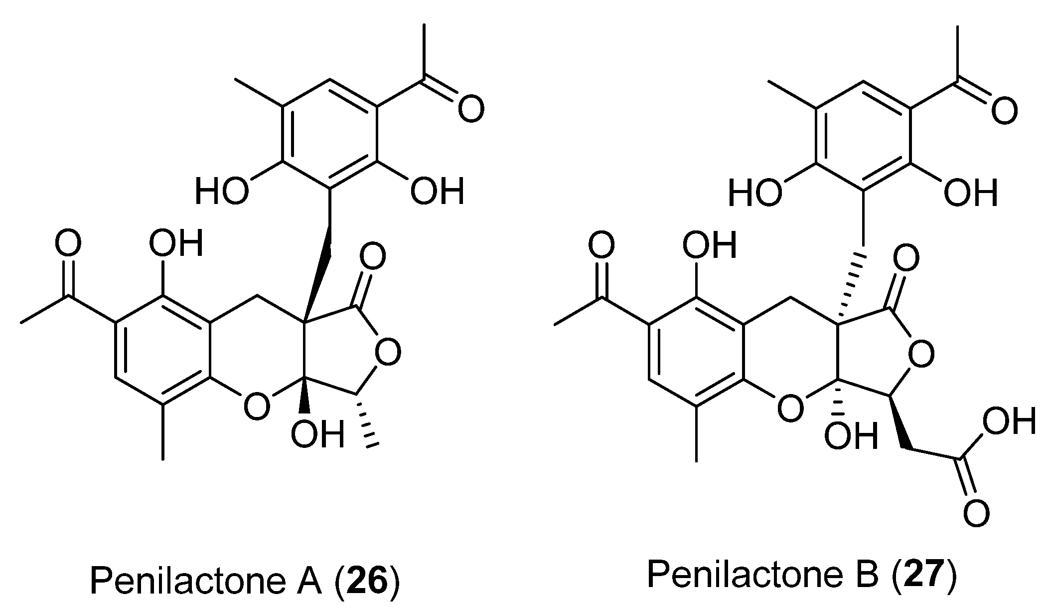 Marinedrugs 21 00098 g008