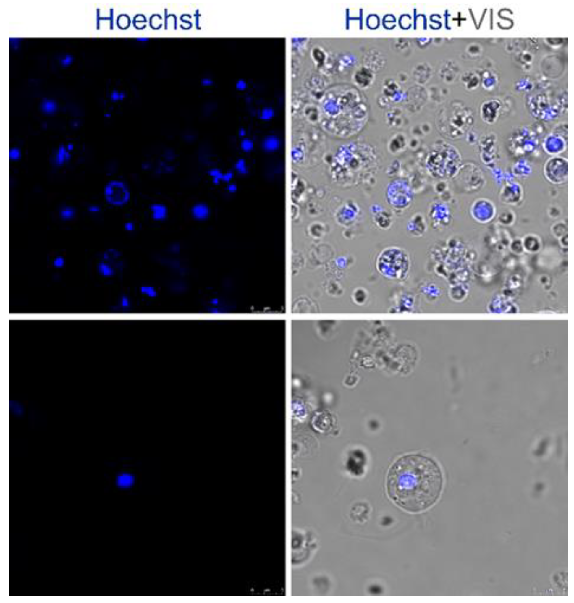 Marinedrugs 21 00119 g001 Marinedrugs 21 00119 g001