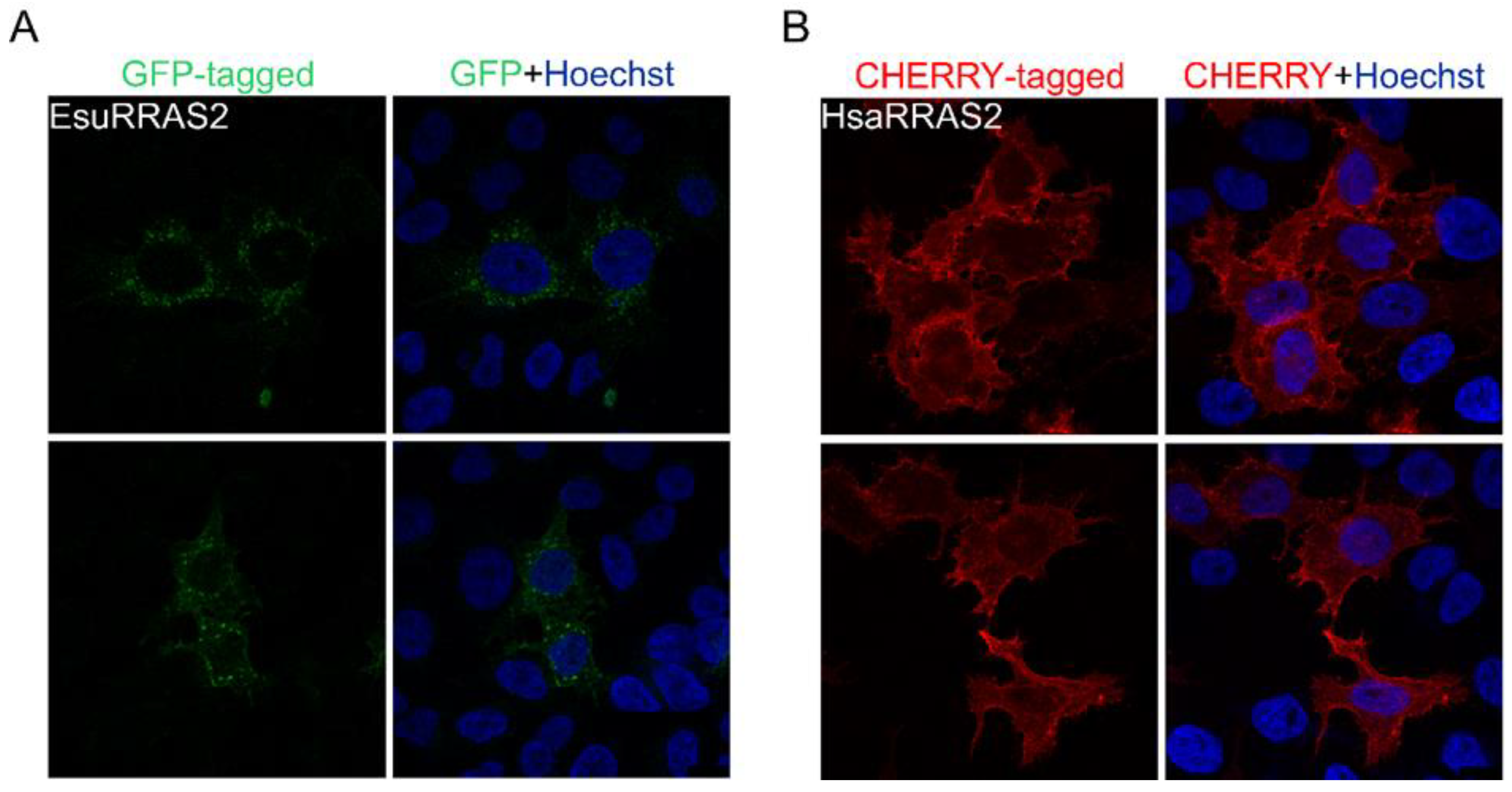 Marinedrugs 21 00119 g007 Marinedrugs 21 00119 g007