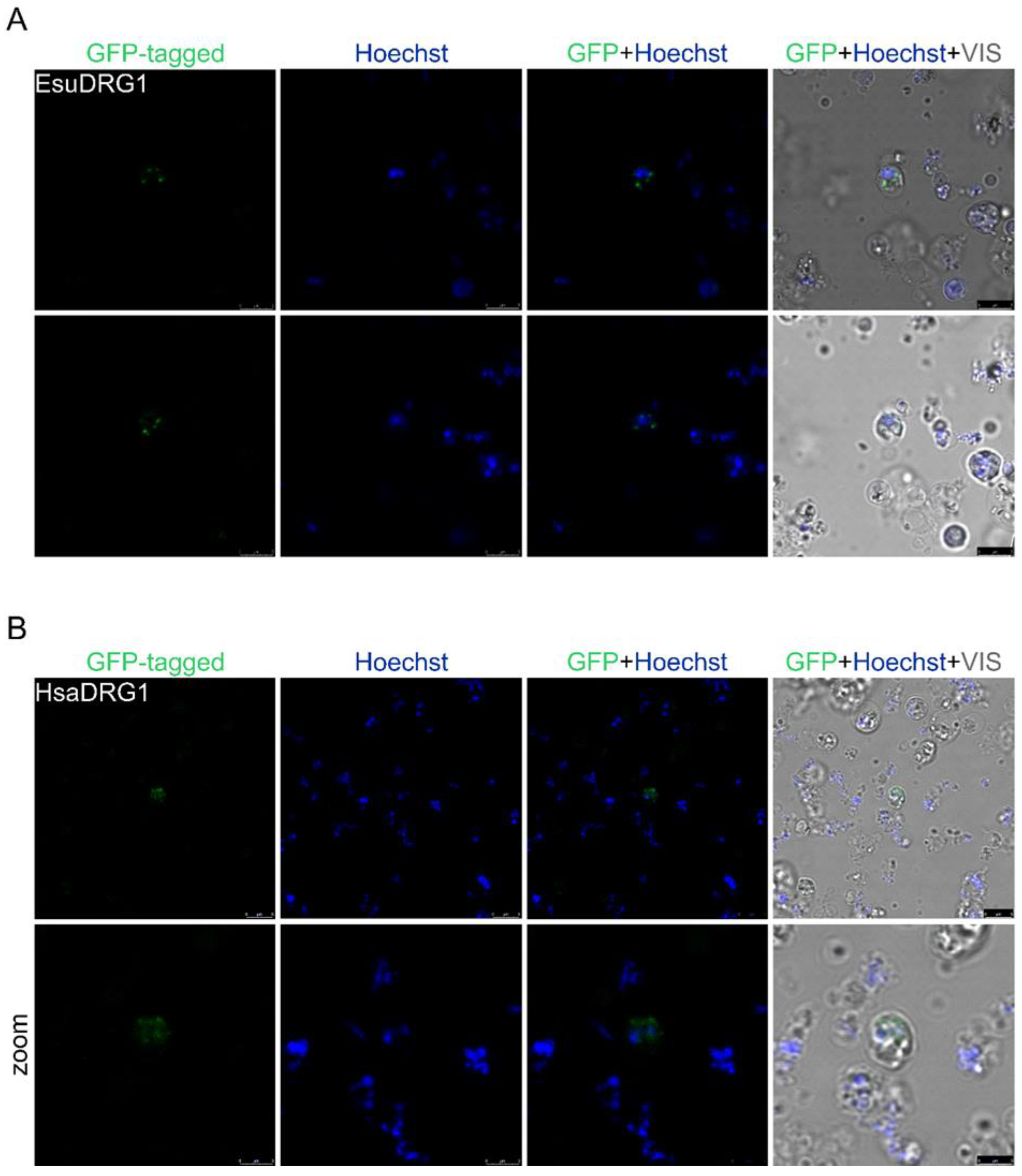 Marinedrugs 21 00119 g011 Marinedrugs 21 00119 g011