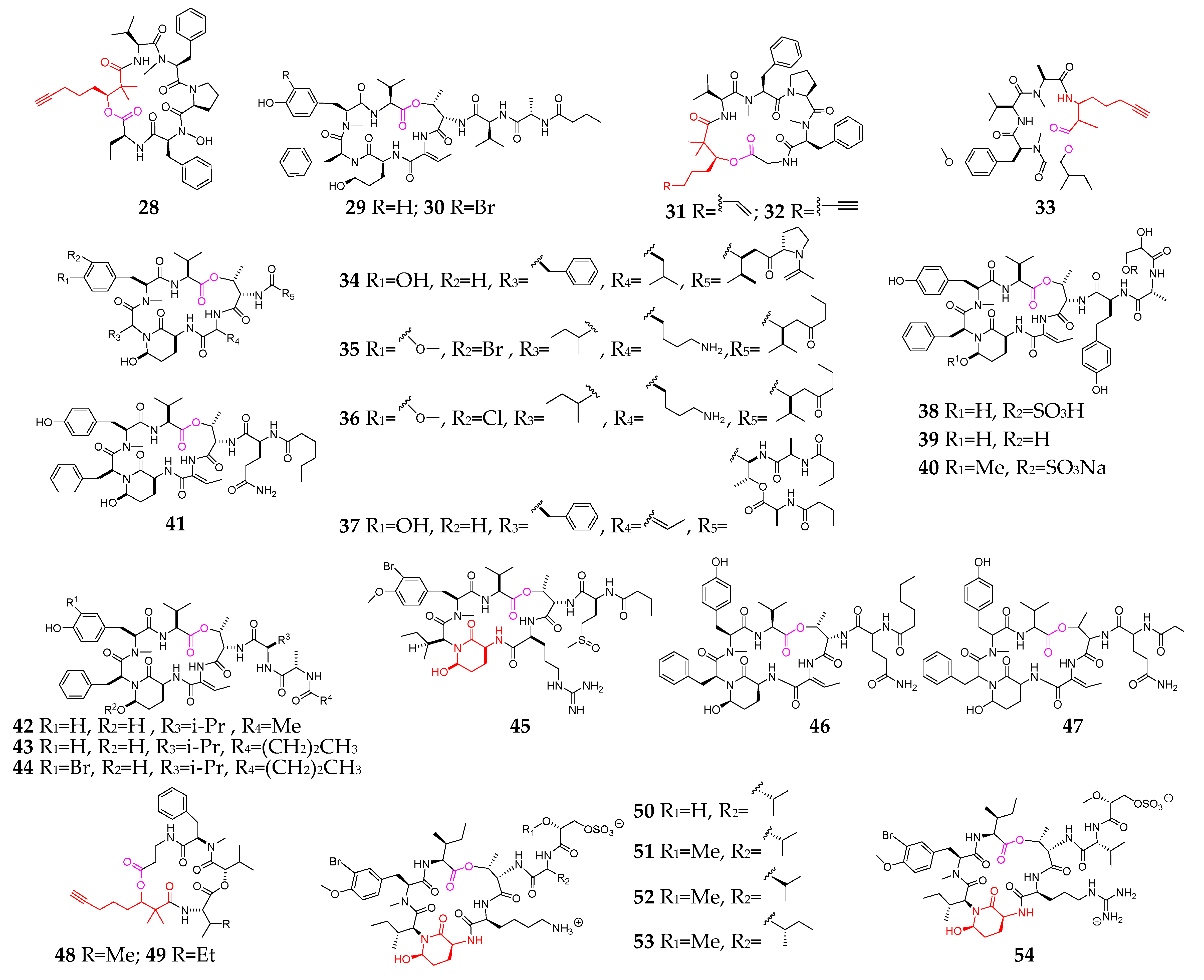 Marinedrugs 21 00120 g003a