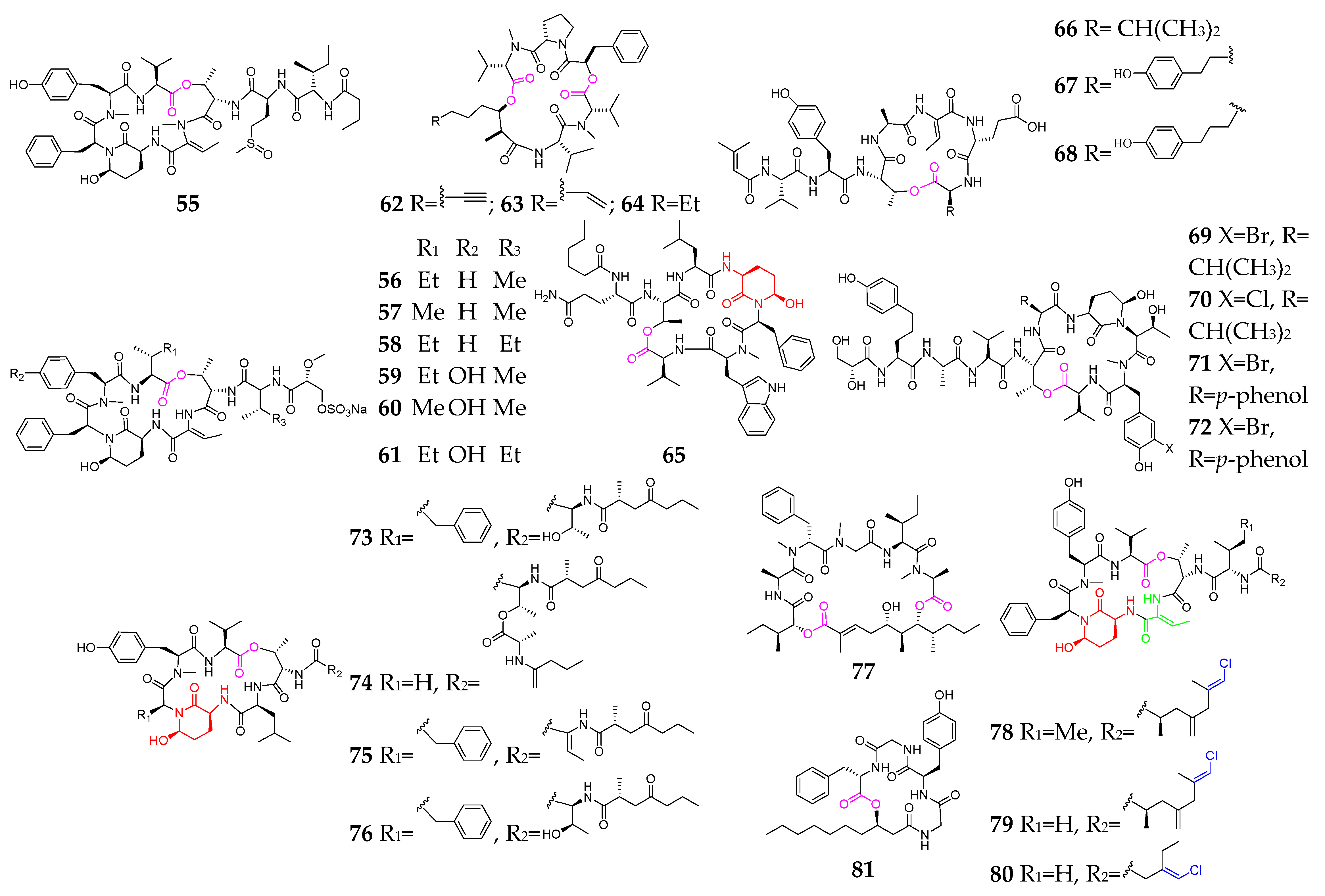 Marinedrugs 21 00120 g003b