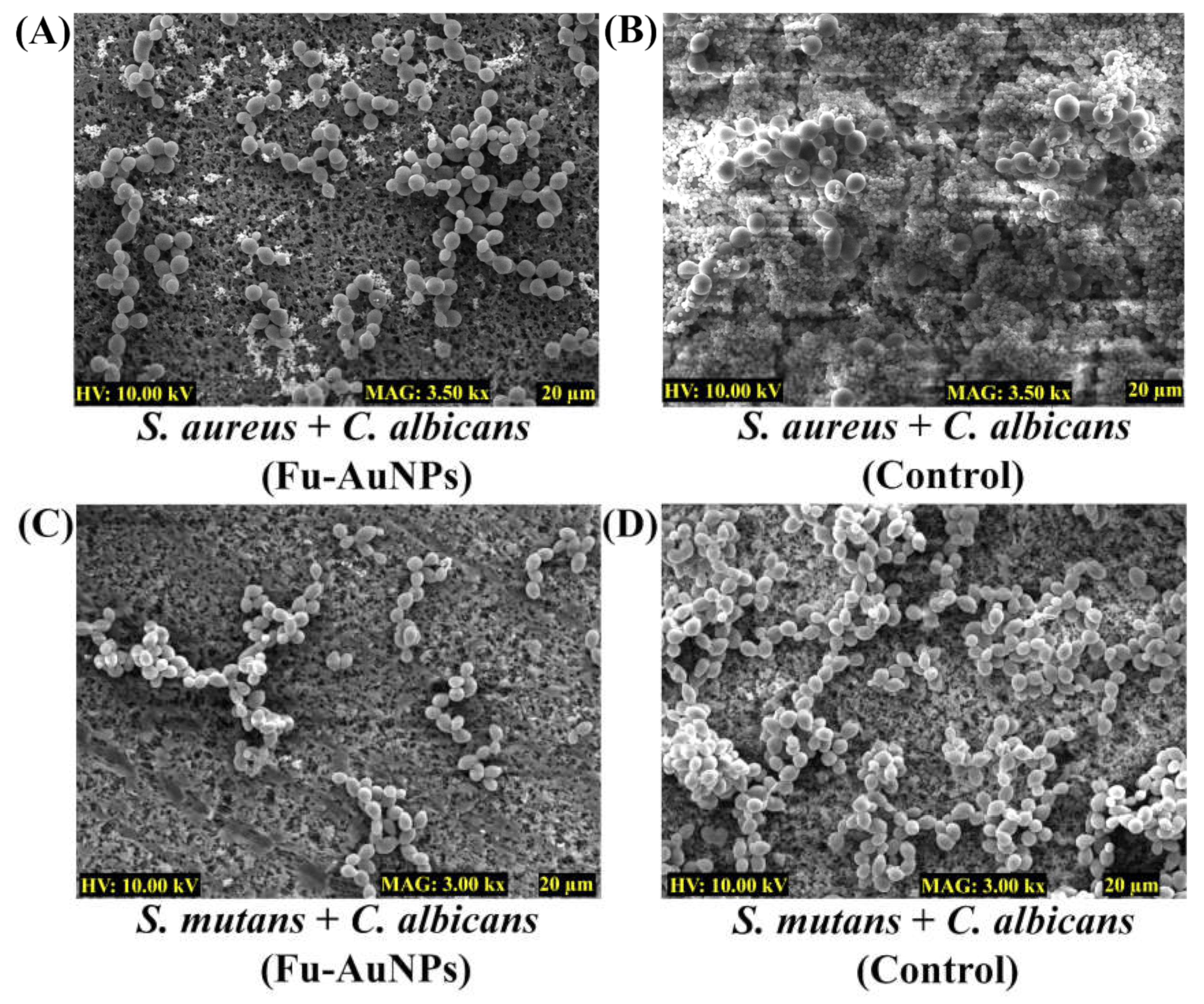 Marinedrugs 21 00123 g007