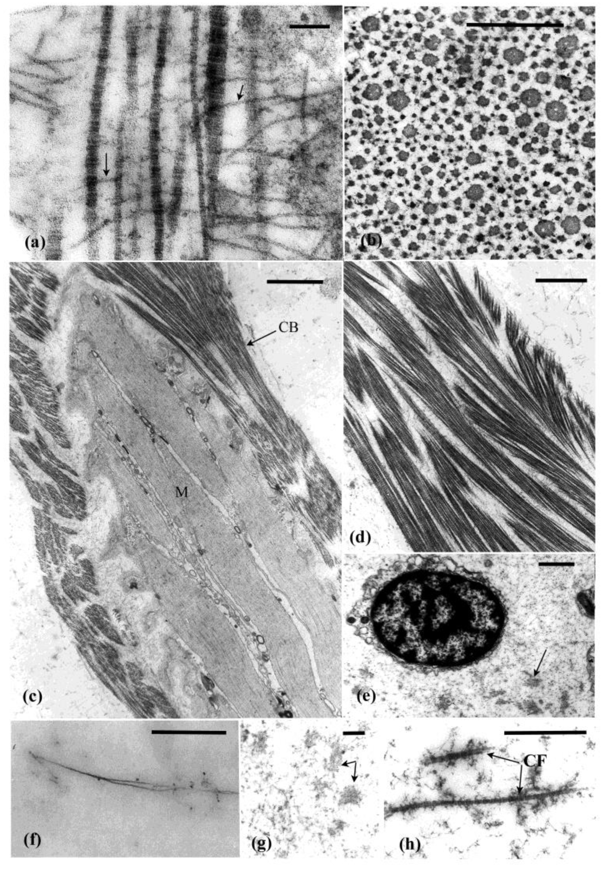 Marinedrugs 21 00134 g002