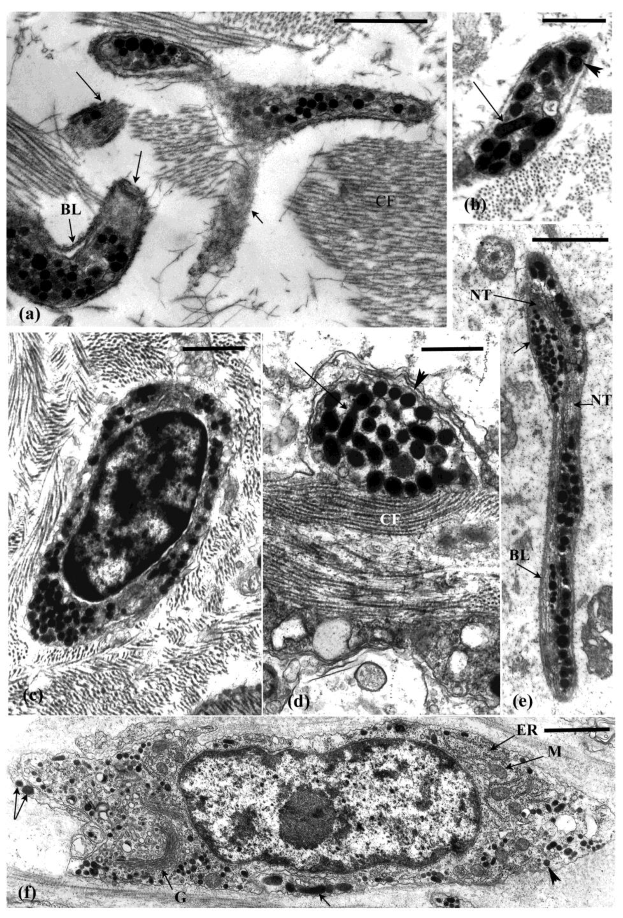 Marinedrugs 21 00134 g006