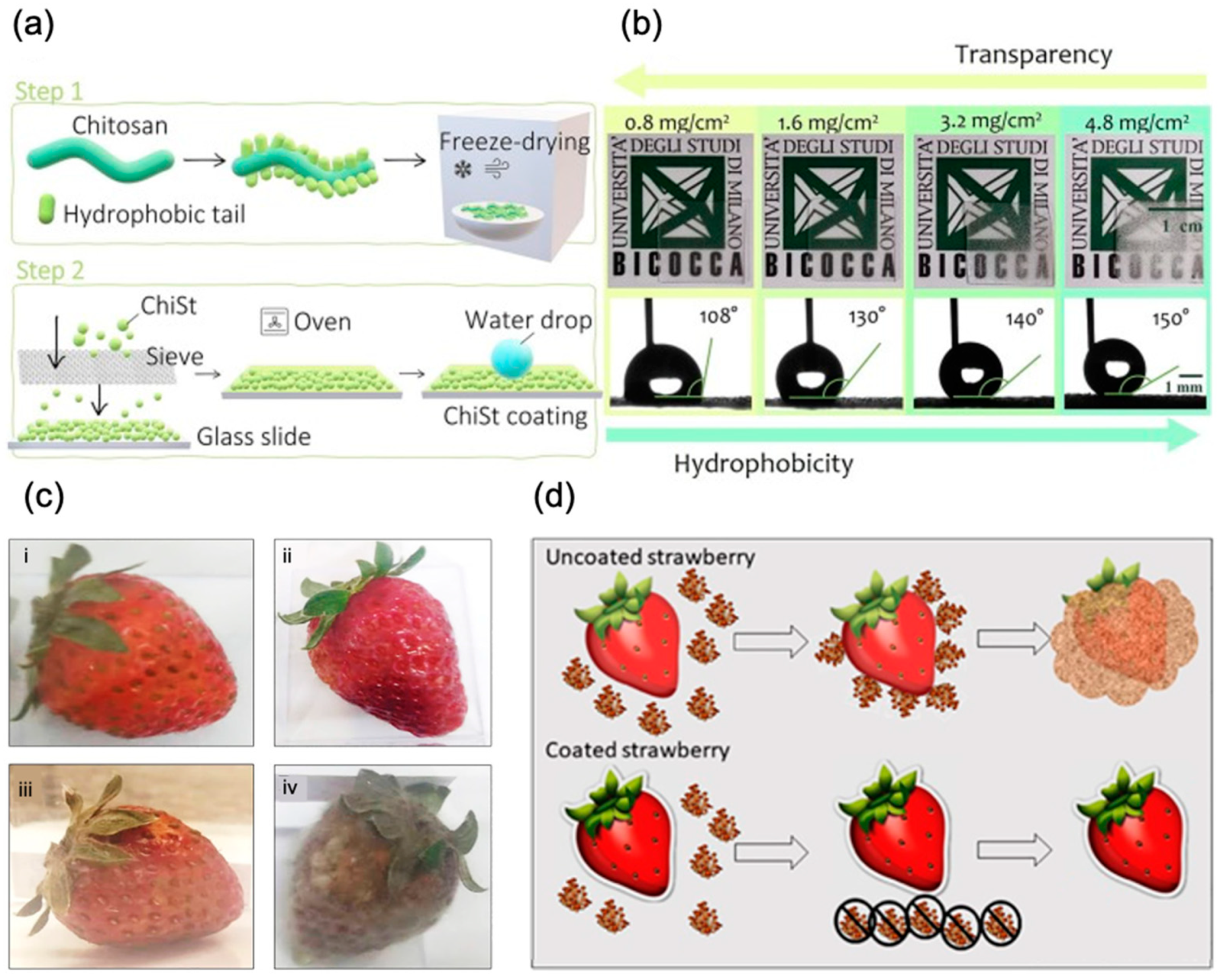 Marinedrugs 21 00147 g004 Marinedrugs 21 00147 g004