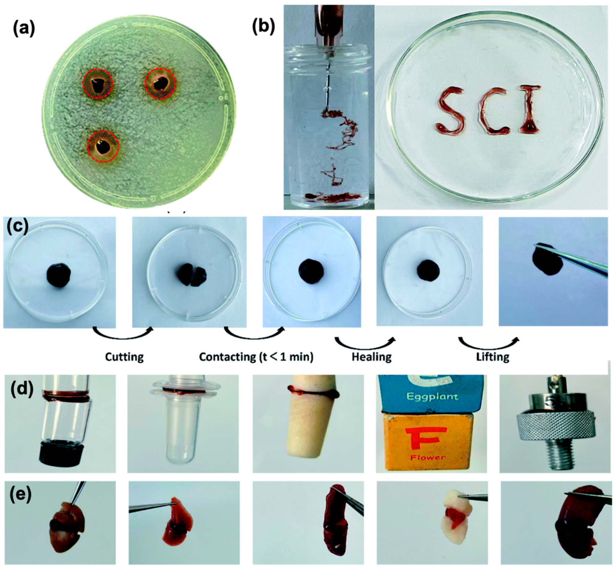 Marinedrugs 21 00147 g008 Marinedrugs 21 00147 g008