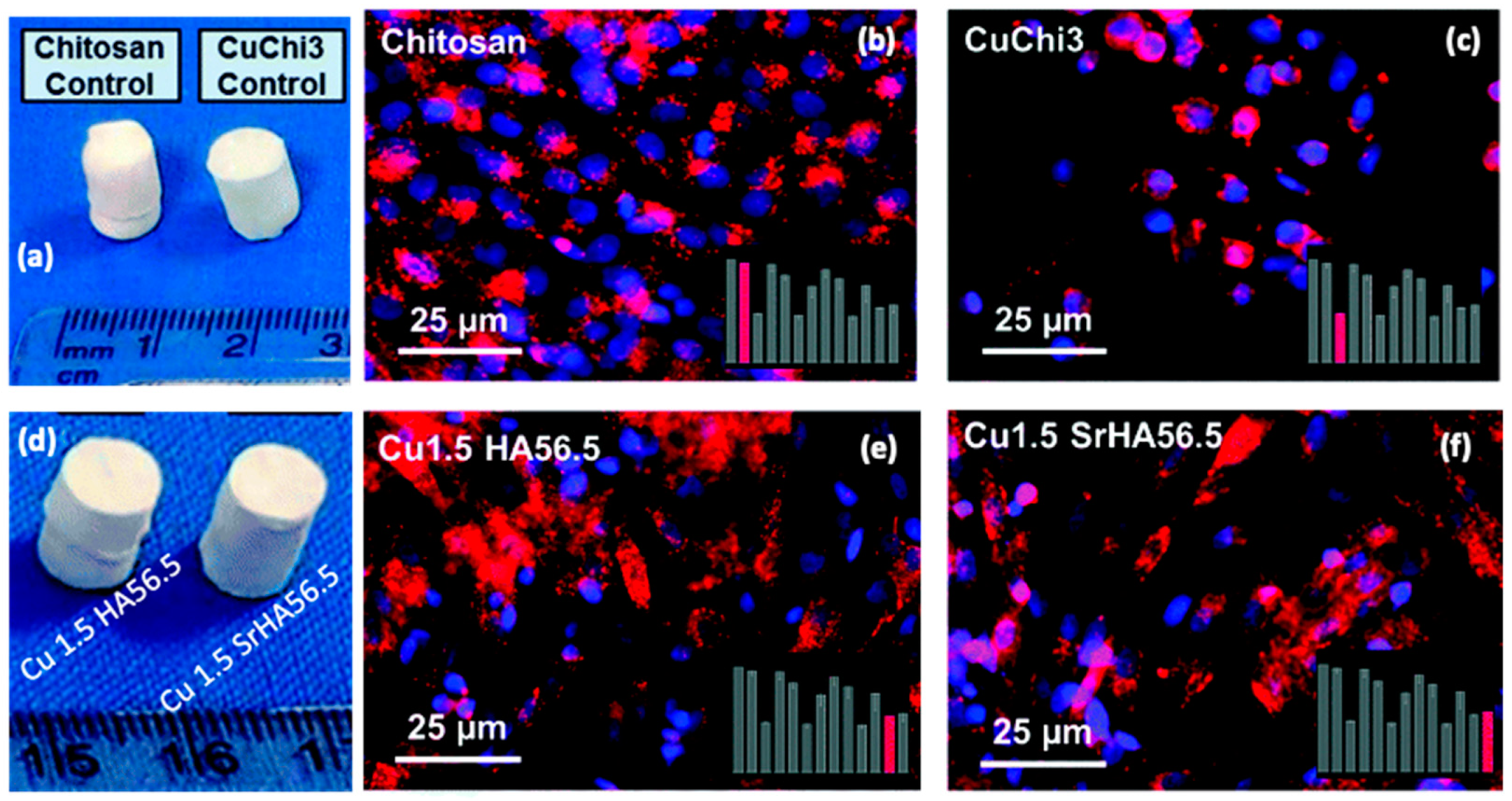 Marinedrugs 21 00147 g011 Marinedrugs 21 00147 g011
