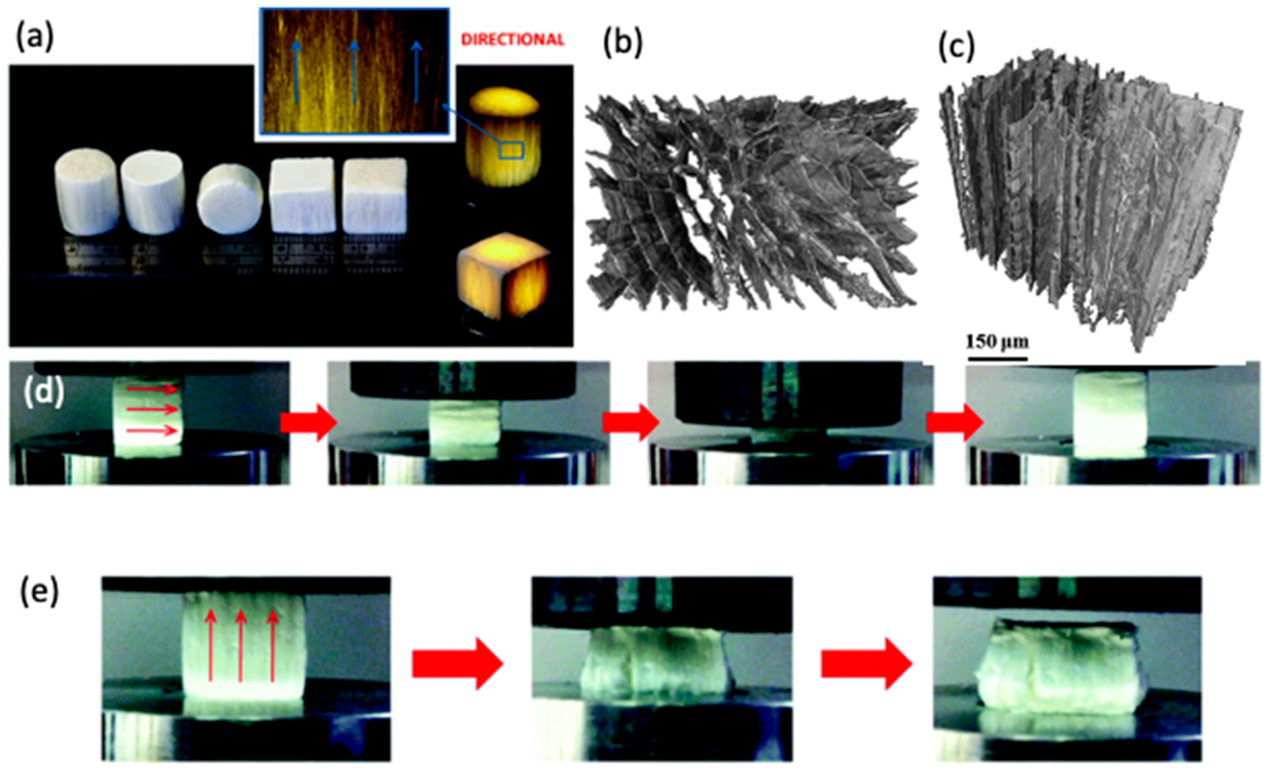 Marinedrugs 21 00147 g012 Marinedrugs 21 00147 g012