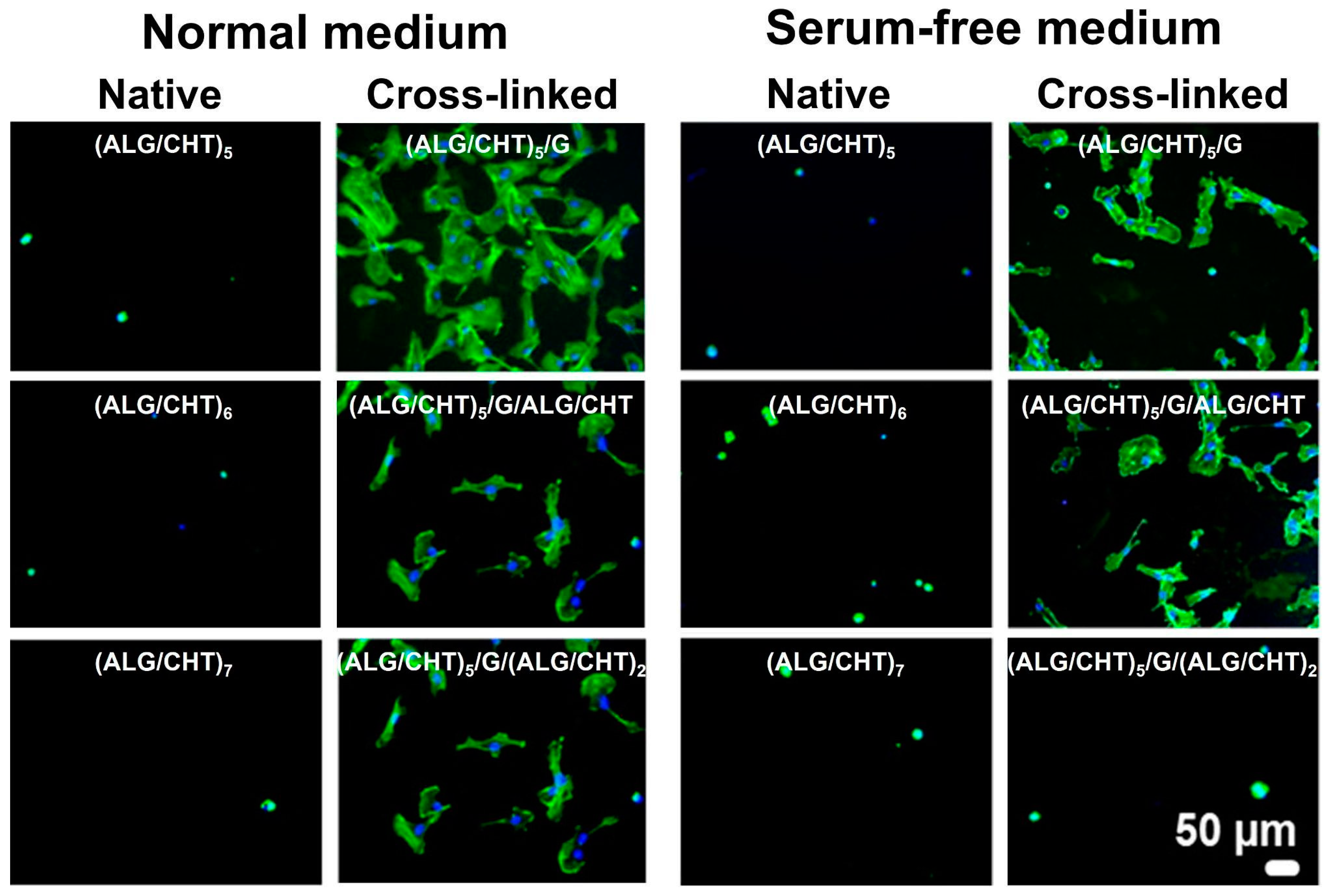 Marinedrugs 21 00147 g013 Marinedrugs 21 00147 g013