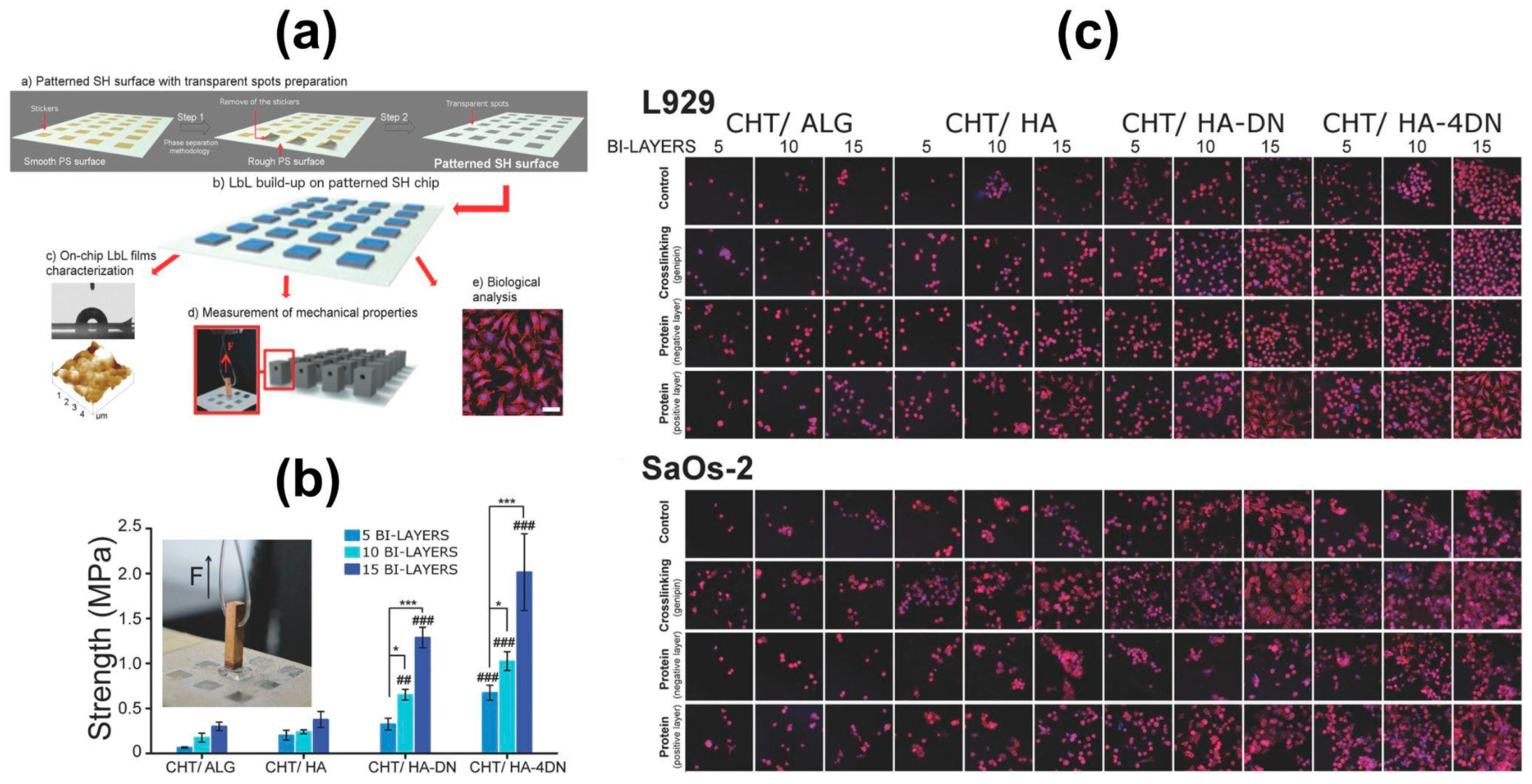 Marinedrugs 21 00147 g014 Marinedrugs 21 00147 g014