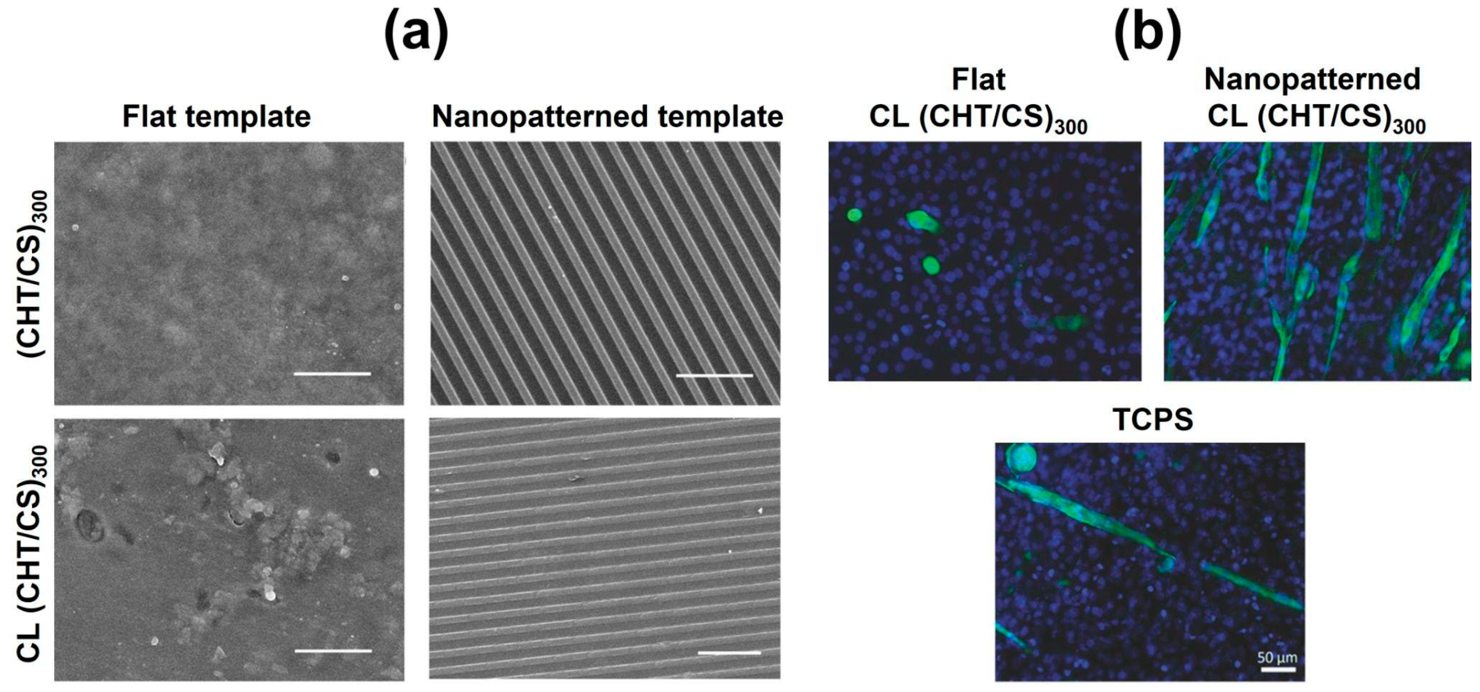 Marinedrugs 21 00147 g016 Marinedrugs 21 00147 g016