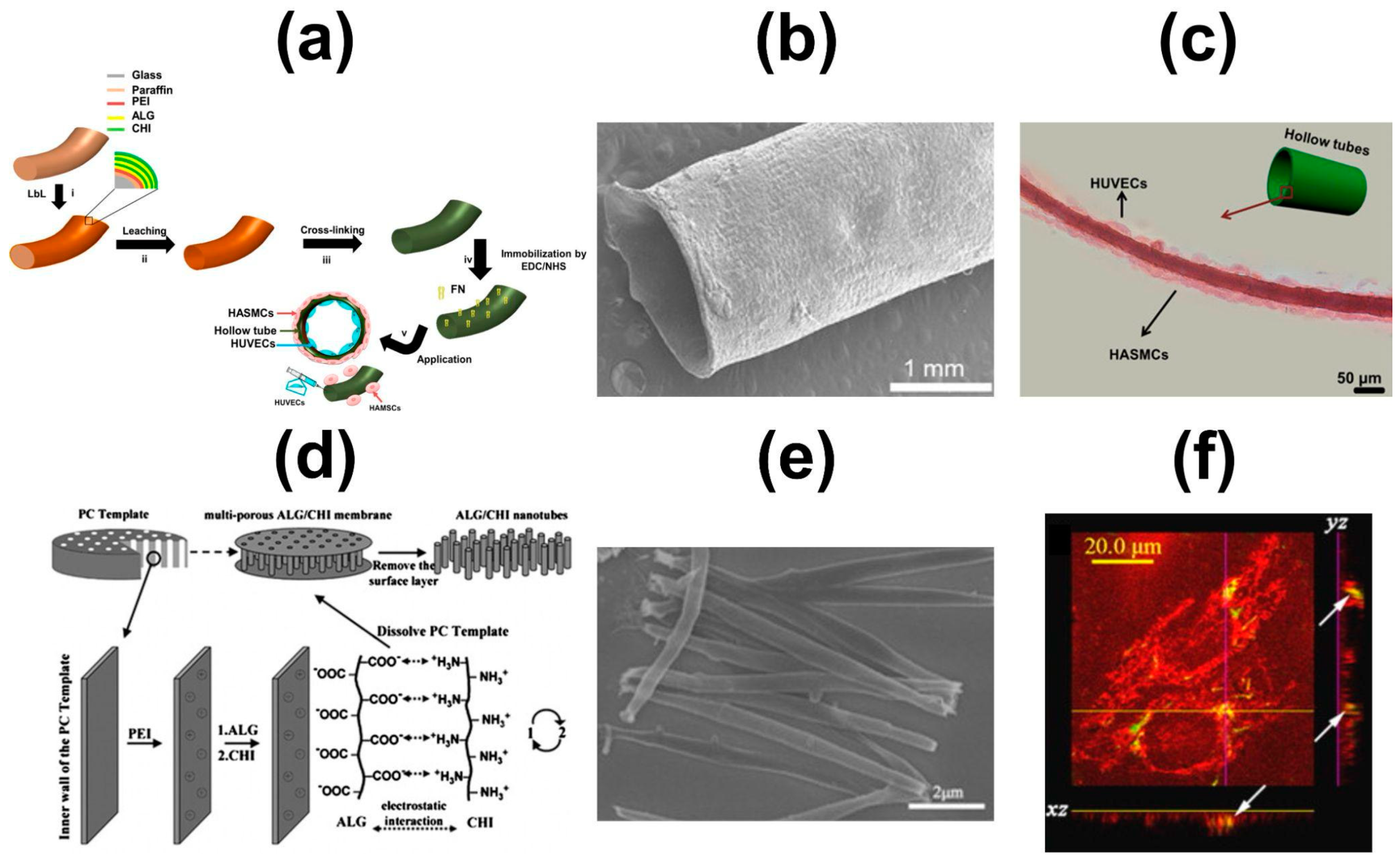Marinedrugs 21 00147 g018 Marinedrugs 21 00147 g018