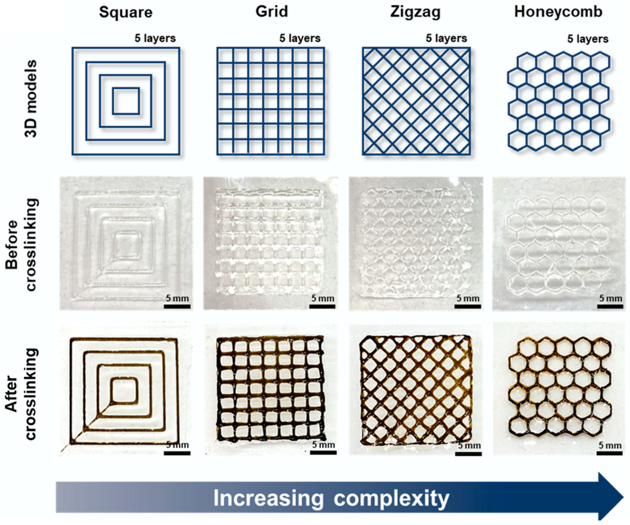 Marinedrugs 21 00147 g026 Marinedrugs 21 00147 g026