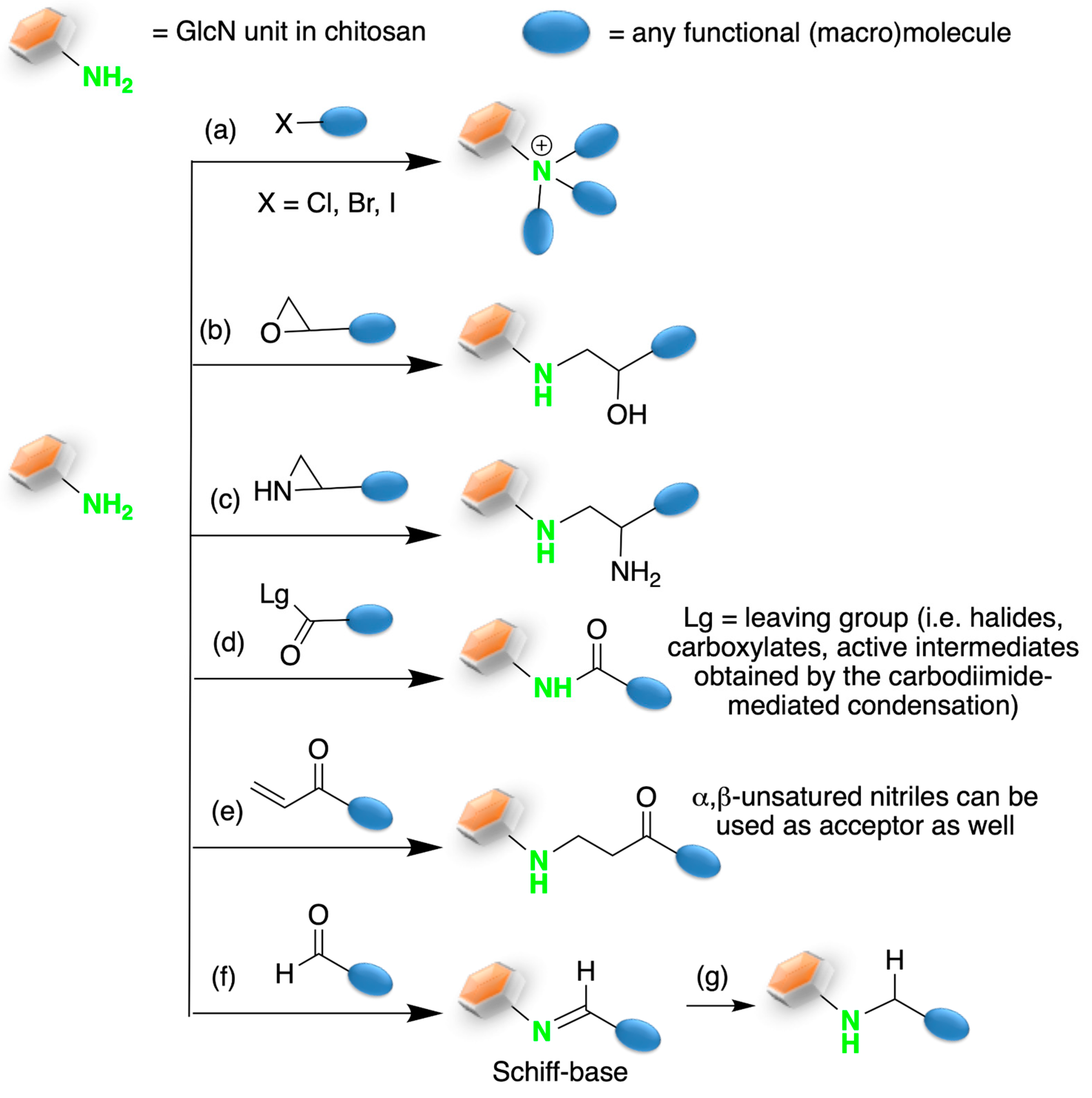 Marinedrugs 21 00147 sch001 Marinedrugs 21 00147 sch001