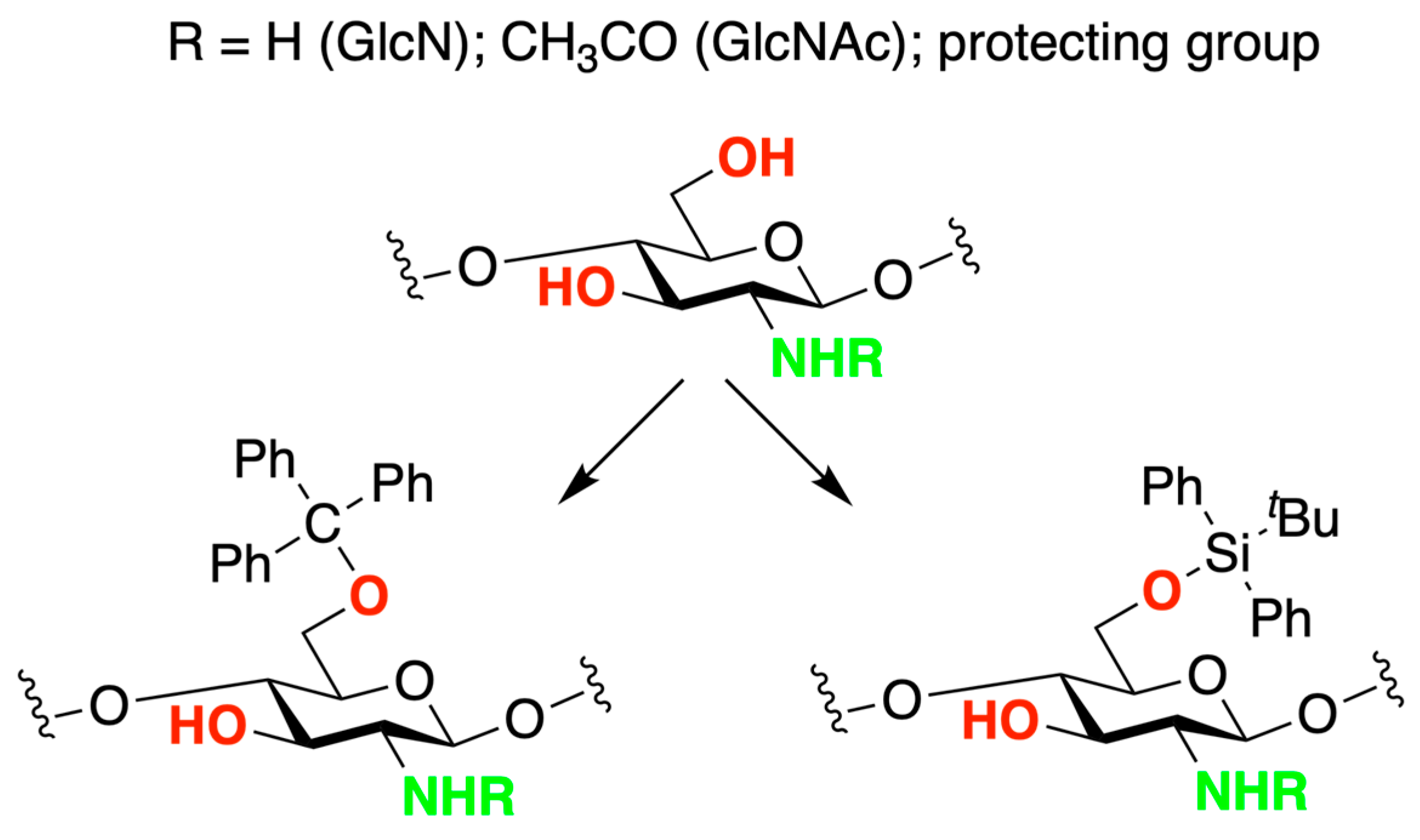 Marinedrugs 21 00147 sch003 Marinedrugs 21 00147 sch003