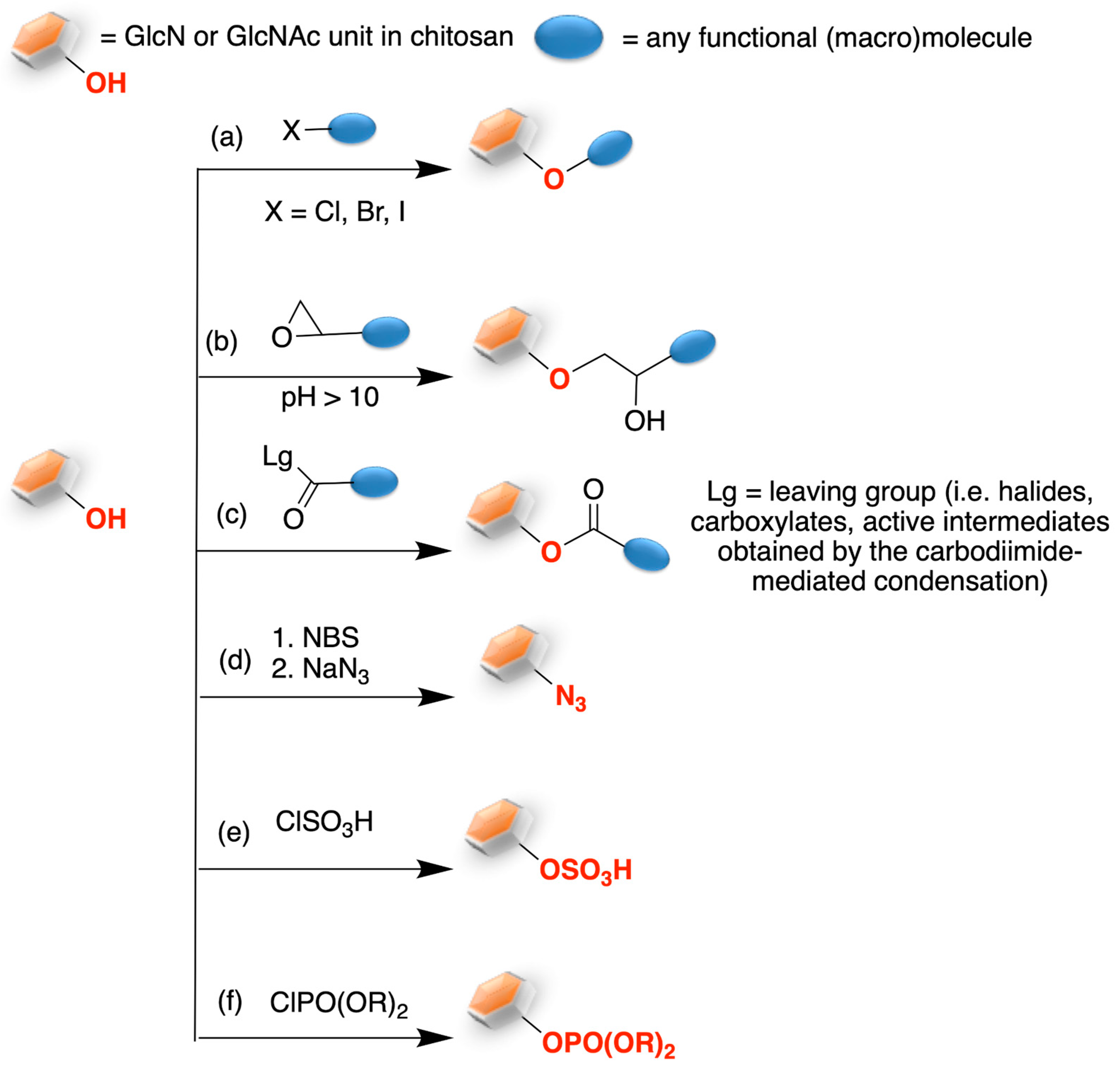 Marinedrugs 21 00147 sch004 Marinedrugs 21 00147 sch004
