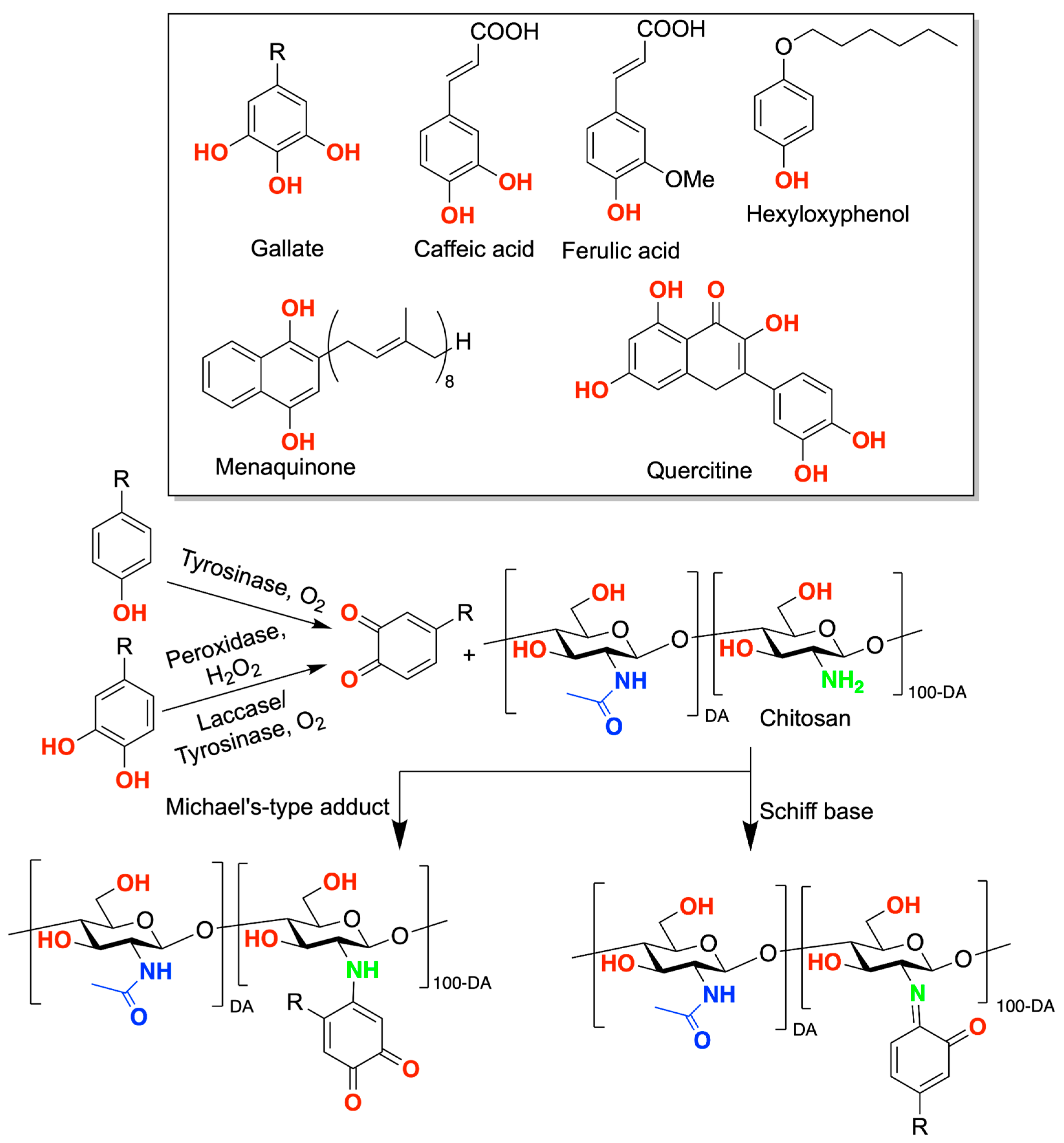 Marinedrugs 21 00147 sch005 Marinedrugs 21 00147 sch005