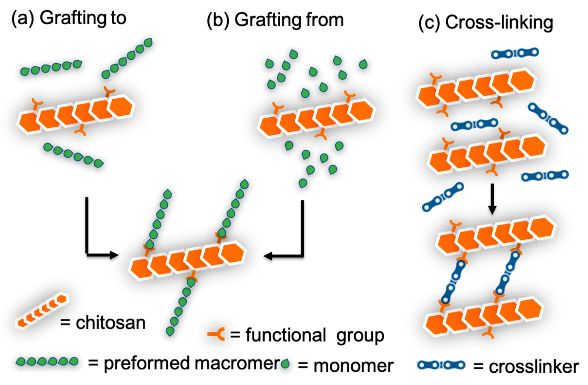 Marinedrugs 21 00147 sch006 Marinedrugs 21 00147 sch006