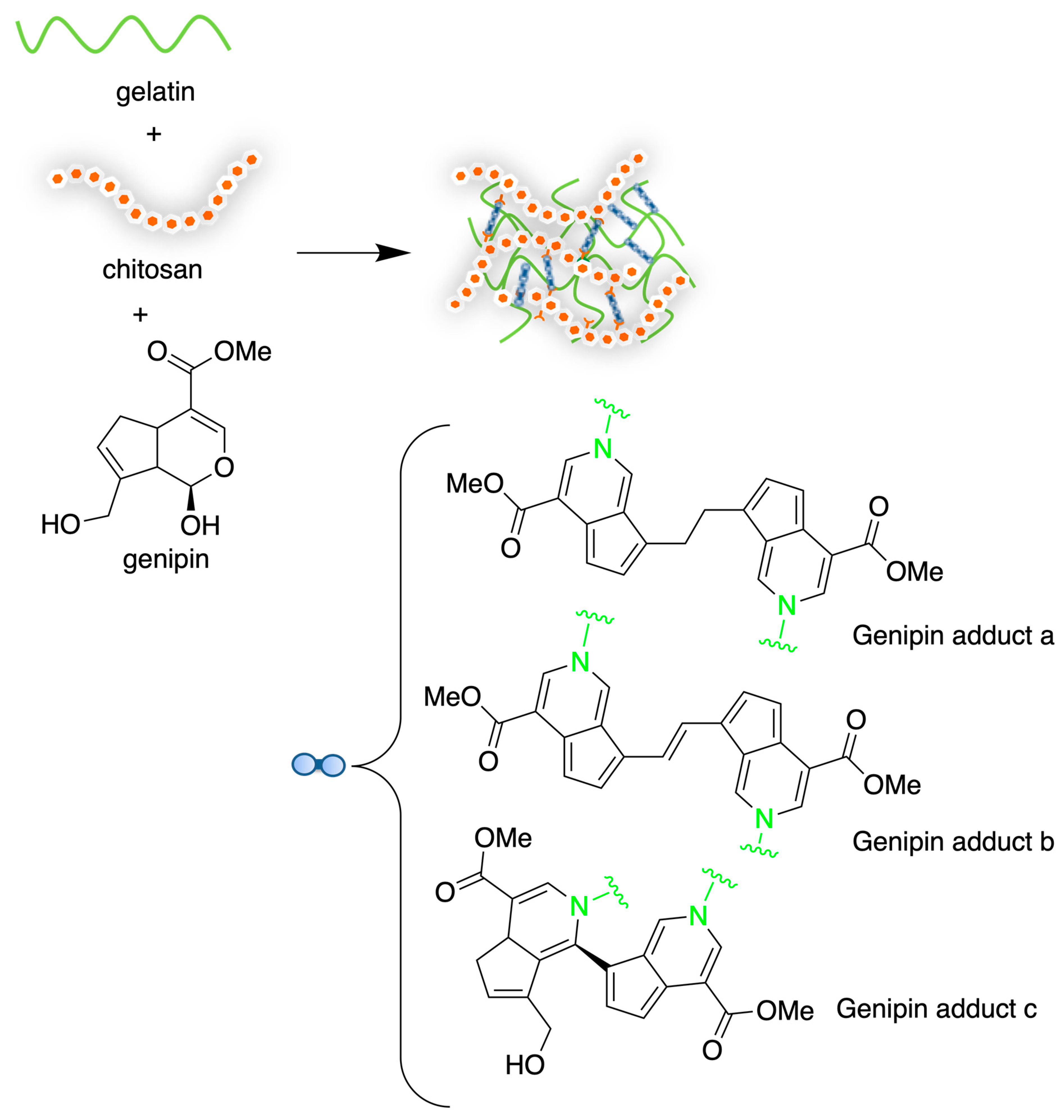 Marinedrugs 21 00147 sch008 Marinedrugs 21 00147 sch008