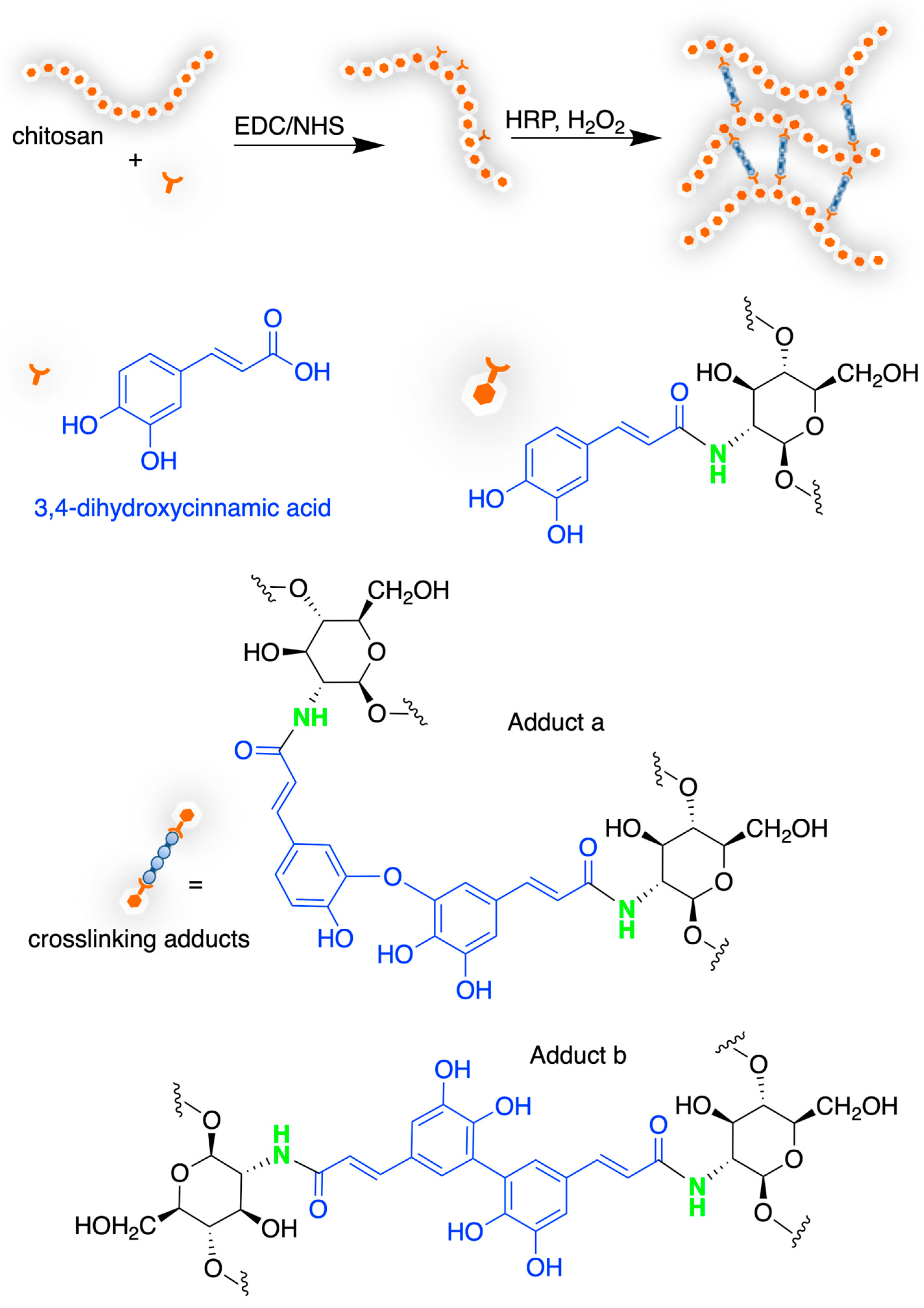 Marinedrugs 21 00147 sch010 Marinedrugs 21 00147 sch010