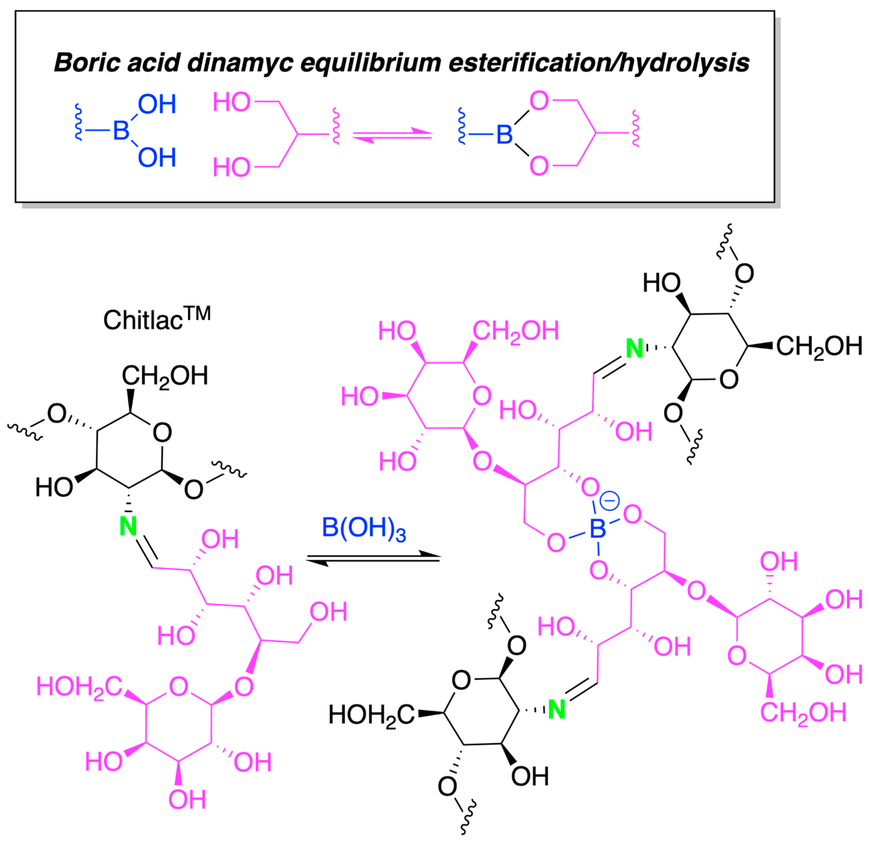 Marinedrugs 21 00147 sch012 Marinedrugs 21 00147 sch012