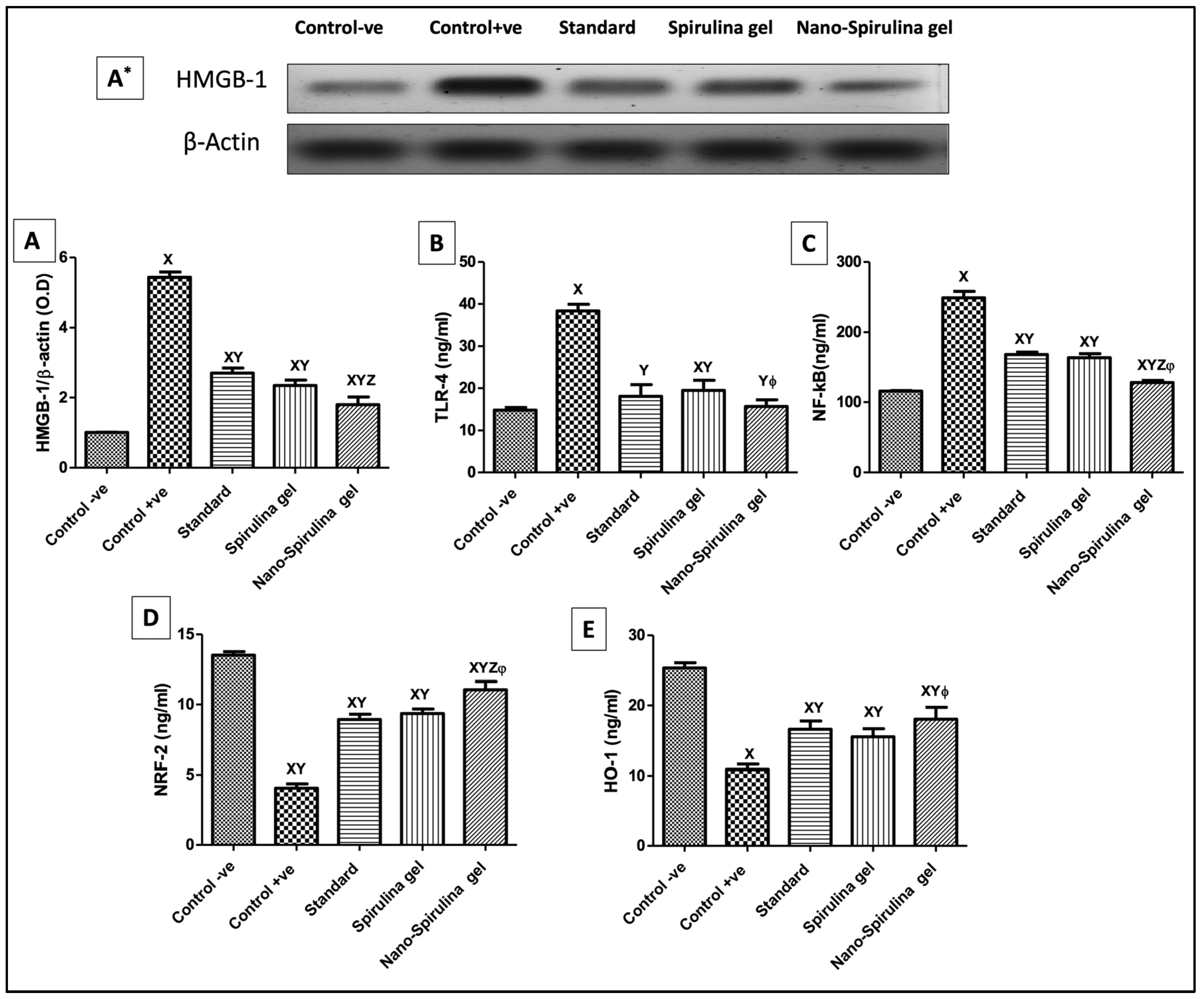 Marinedrugs 21 00149 g008 Marinedrugs 21 00149 g008