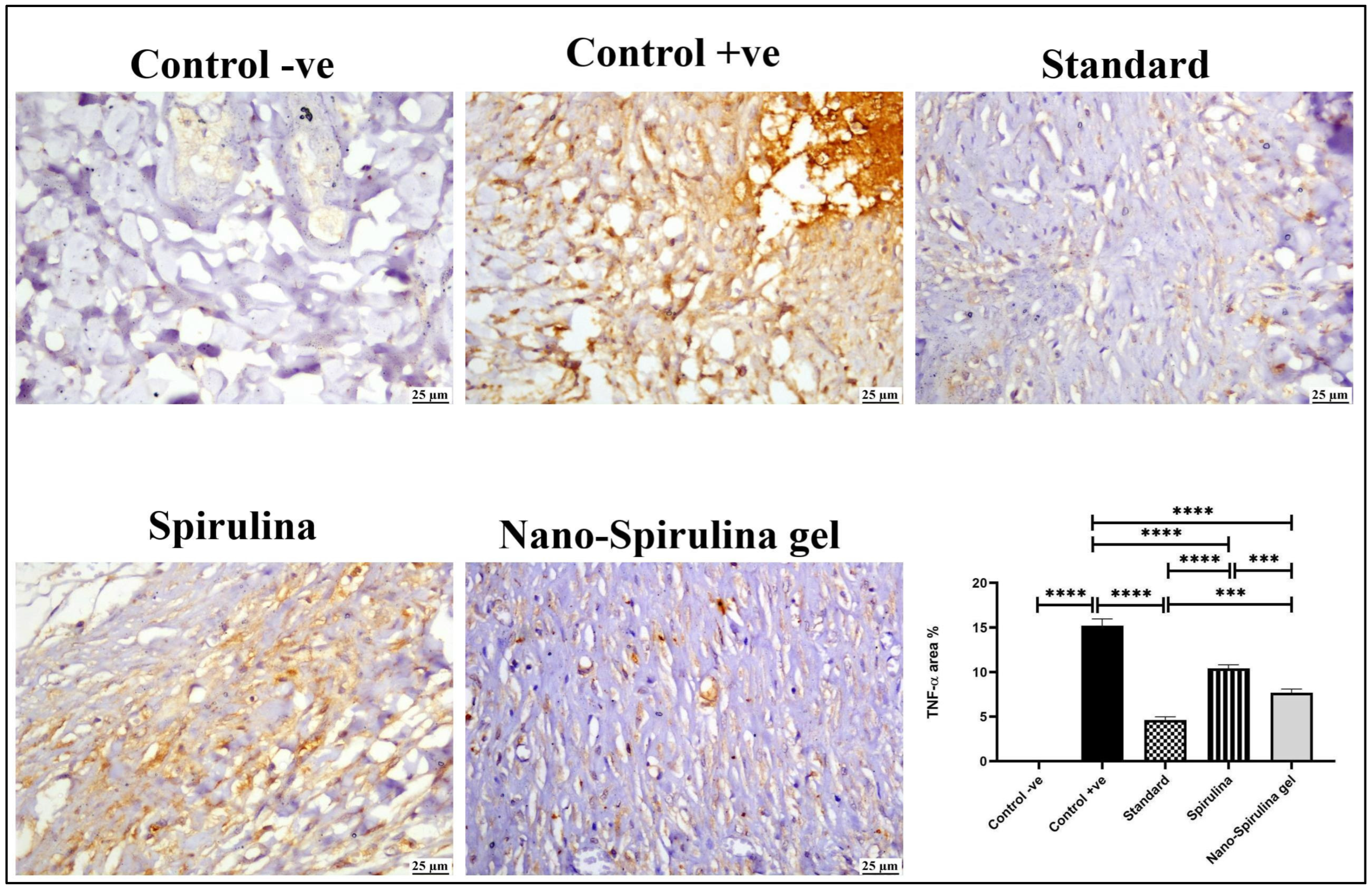 Marinedrugs 21 00149 g009 Marinedrugs 21 00149 g009