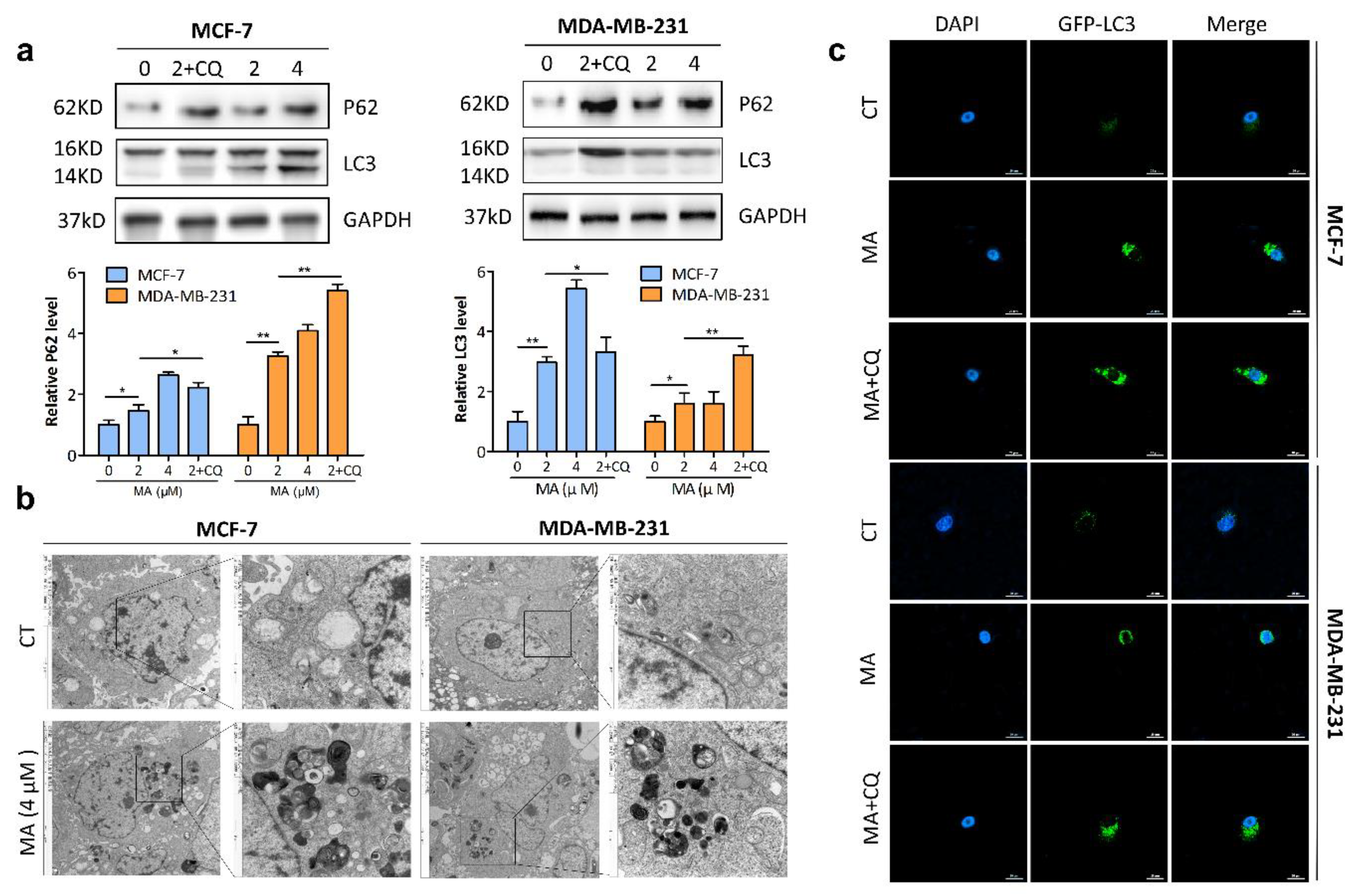 Marinedrugs 21 00151 g003